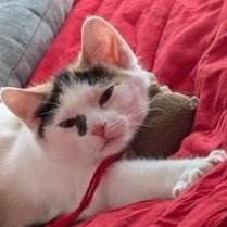 Dior — thumbnail 3