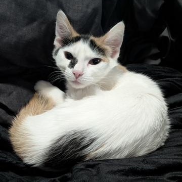 Dior — thumbnail 5