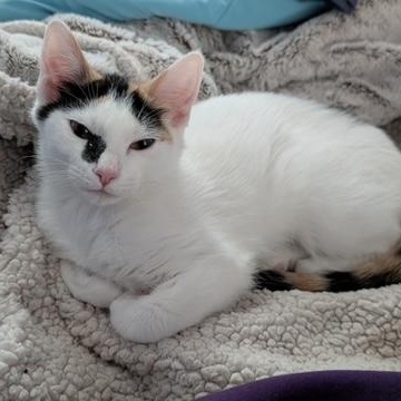 Dior — thumbnail 6