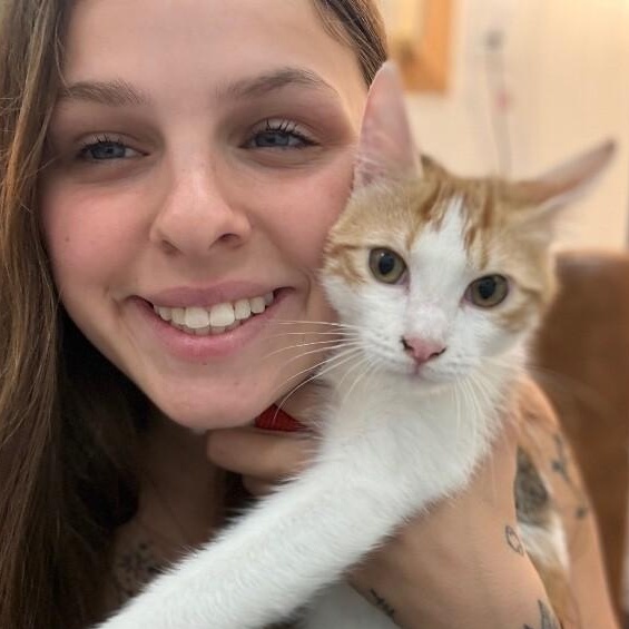 Ginger Boon — thumbnail 2