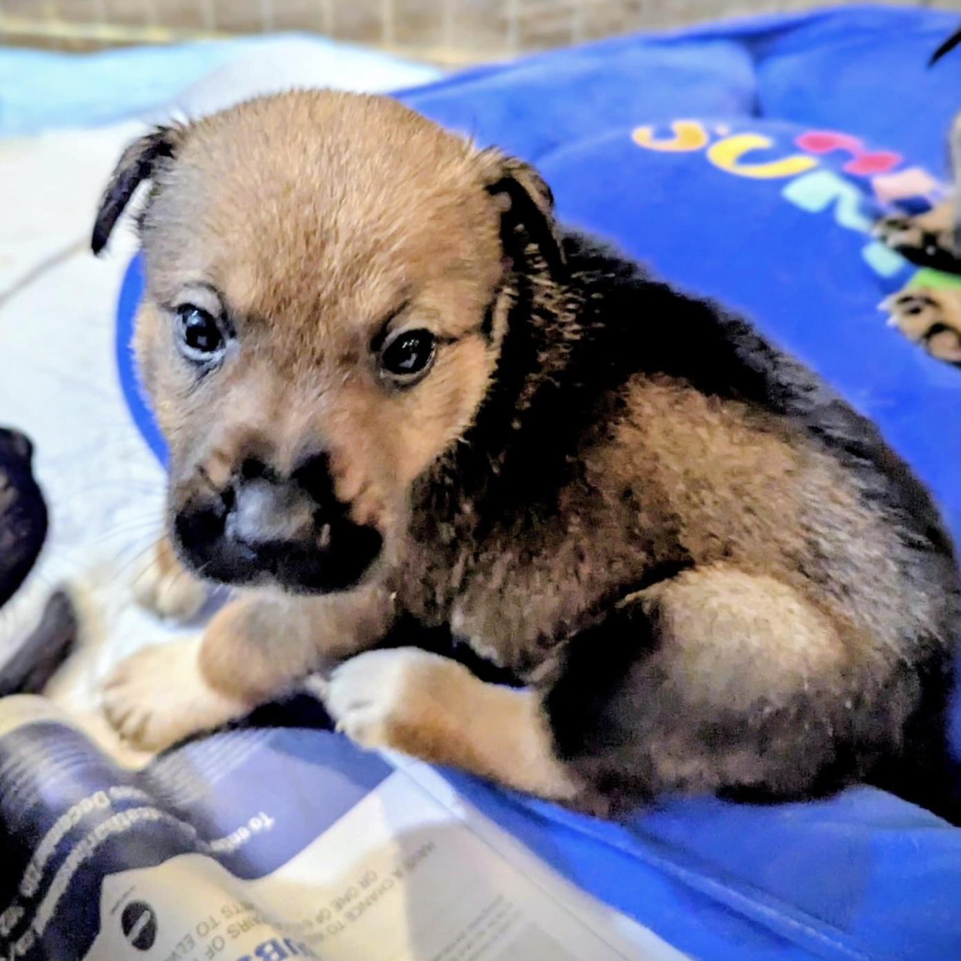 Seltzer (20251022-01)