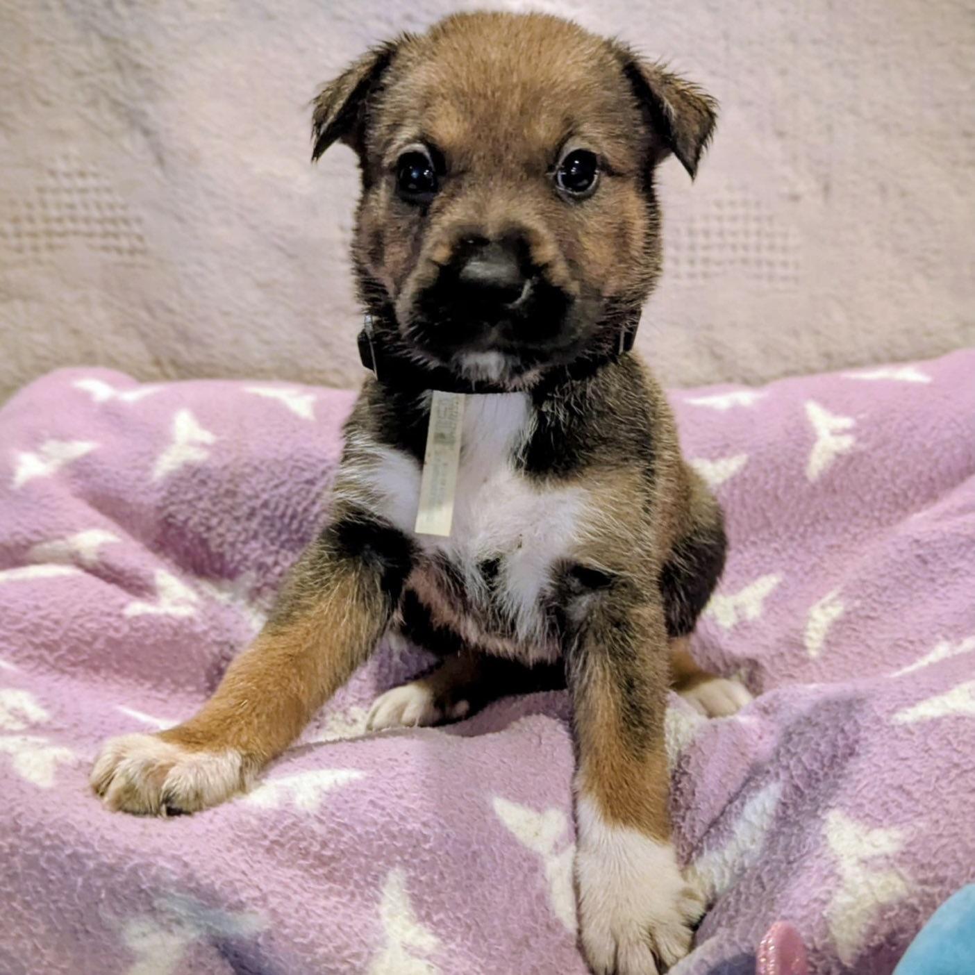 Seltzer (20251022-01)