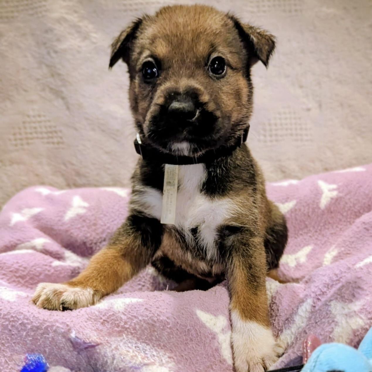 Seltzer (20251022-01)