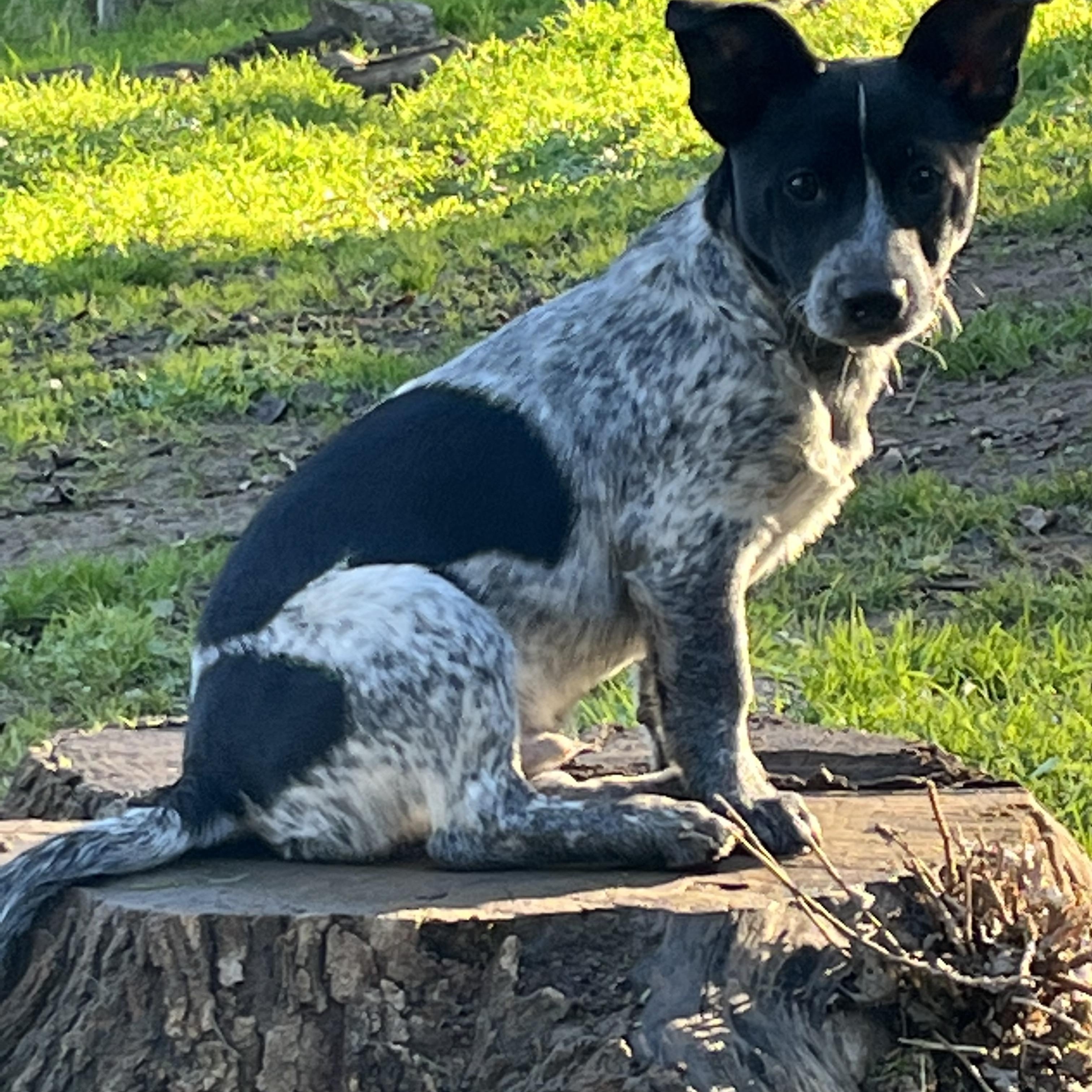 Rugby And Cricket thumbnail 2