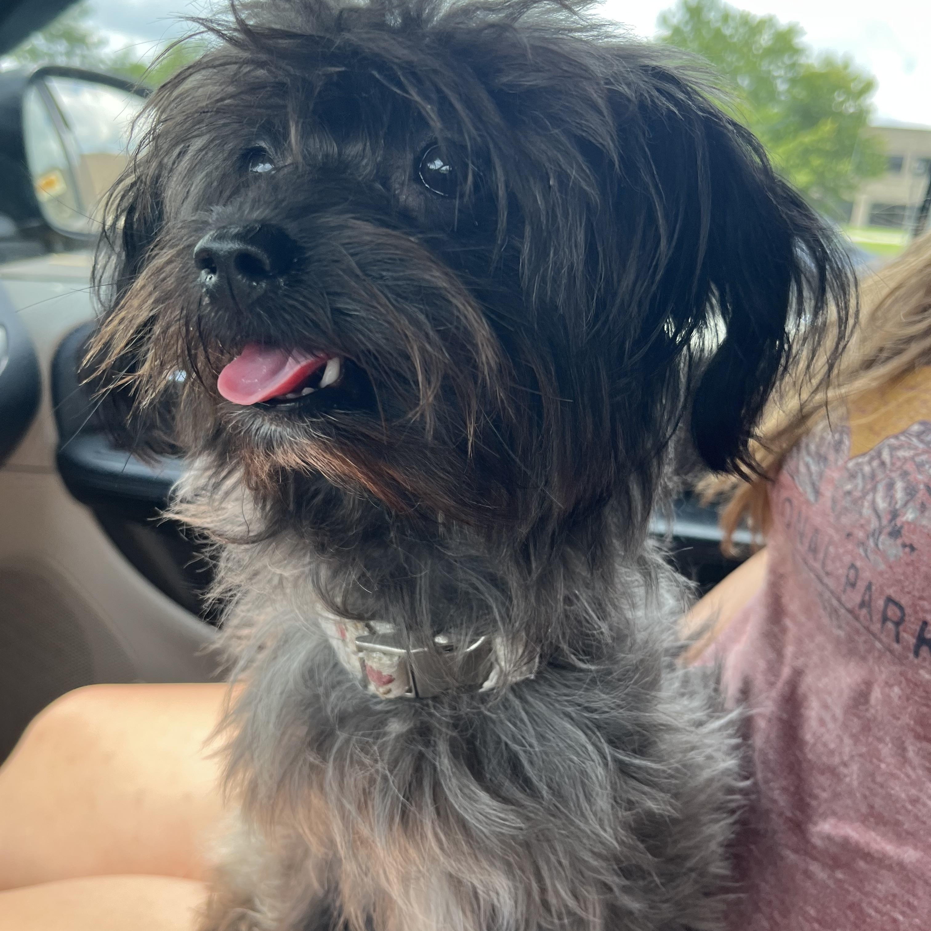 Kali