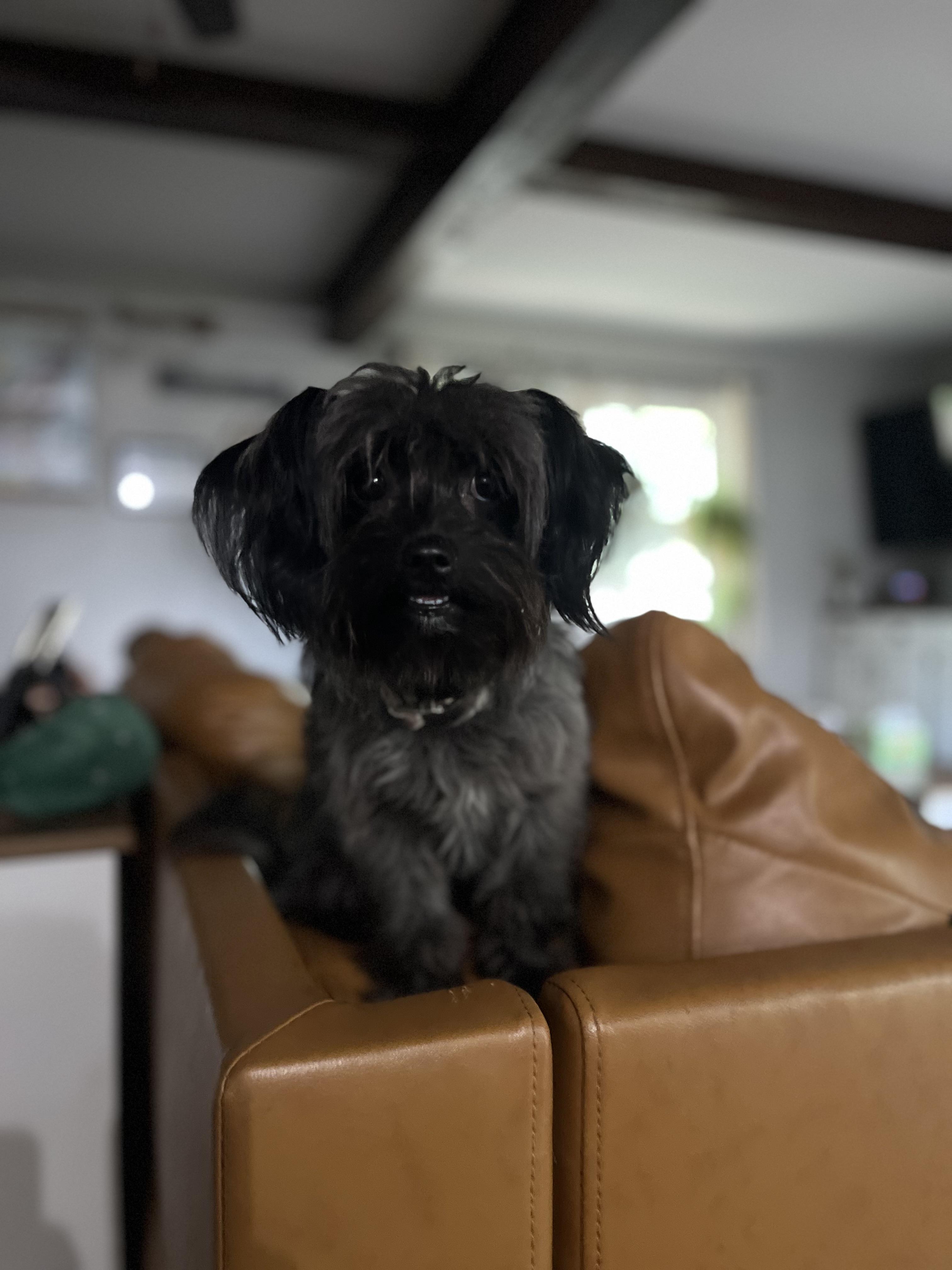Kali