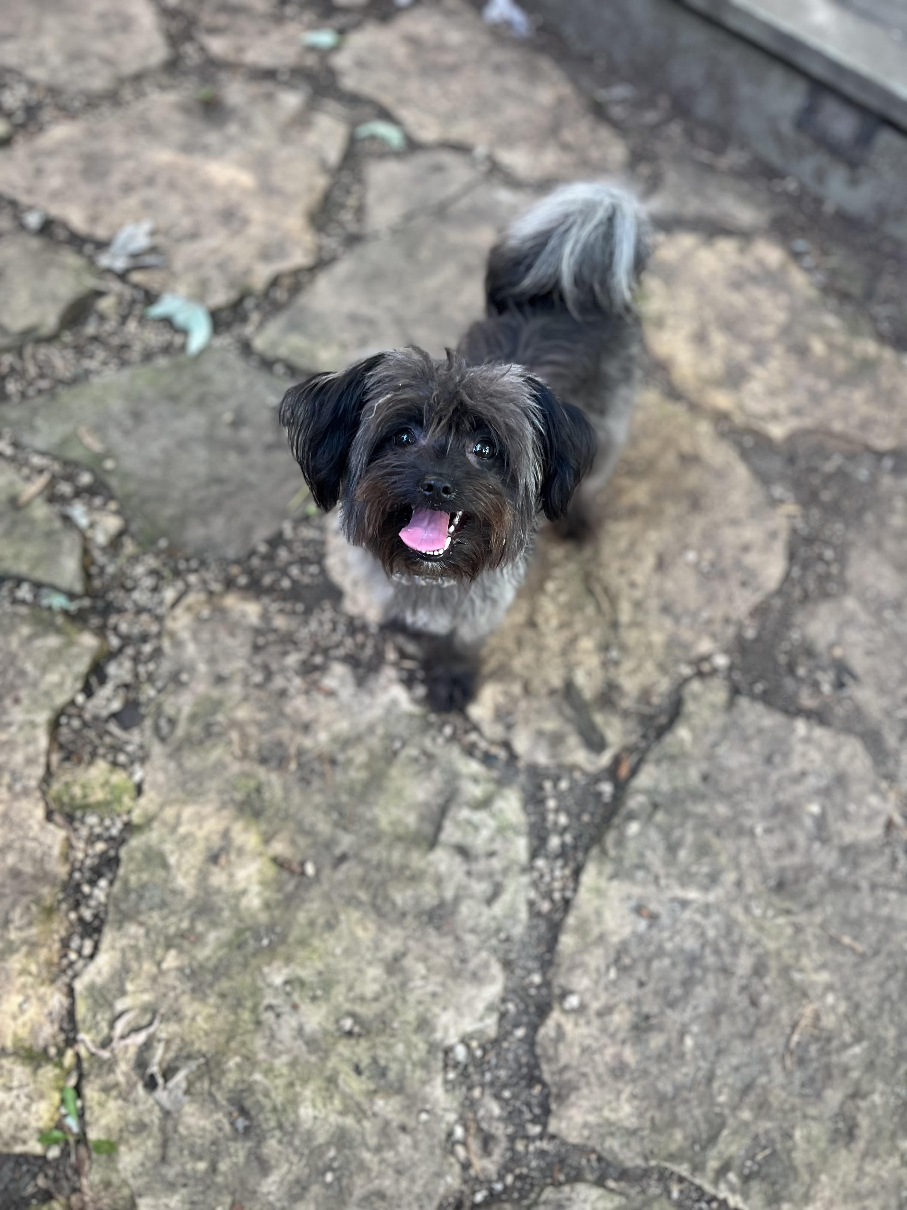 Kali
