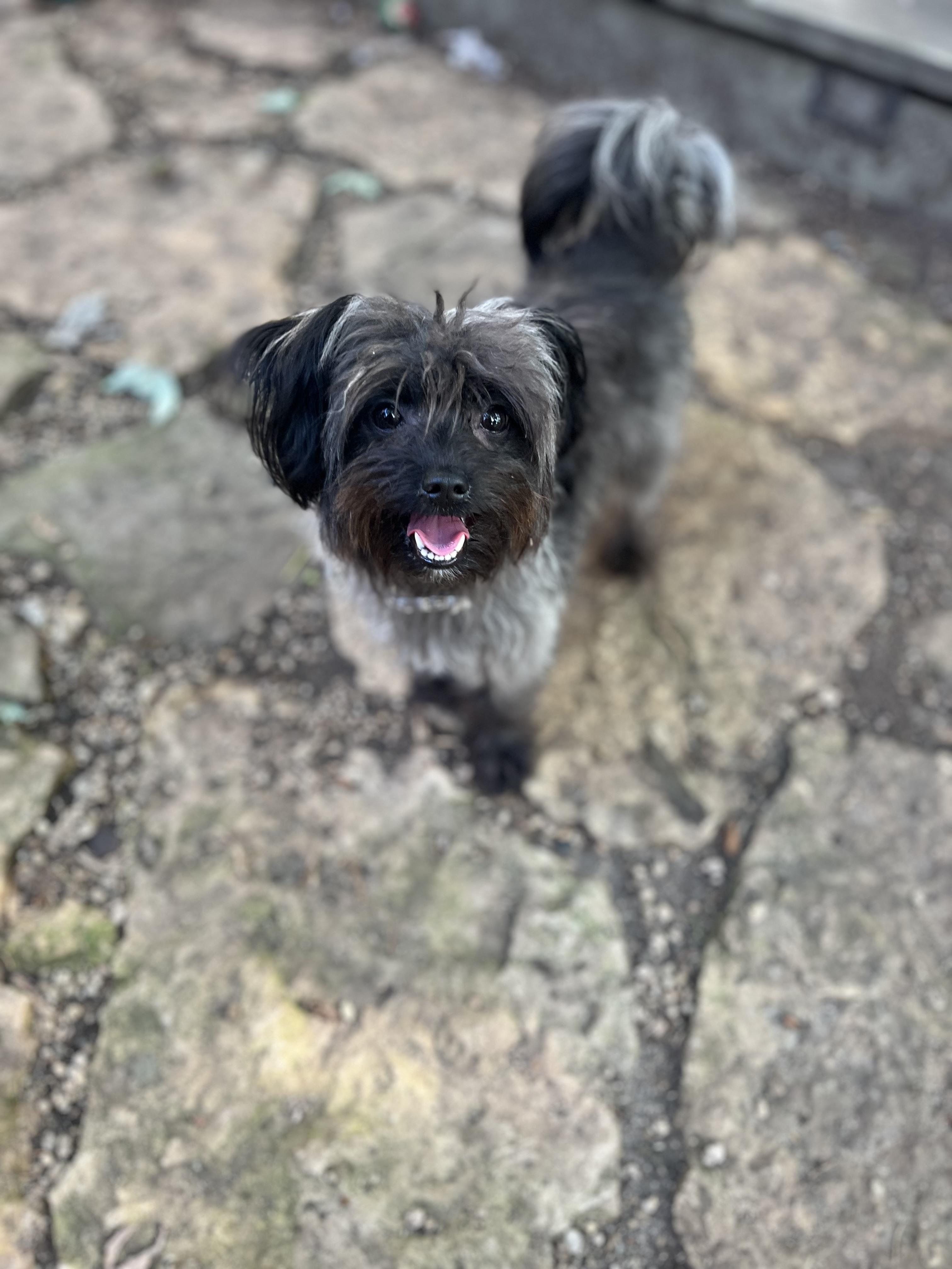 Kali