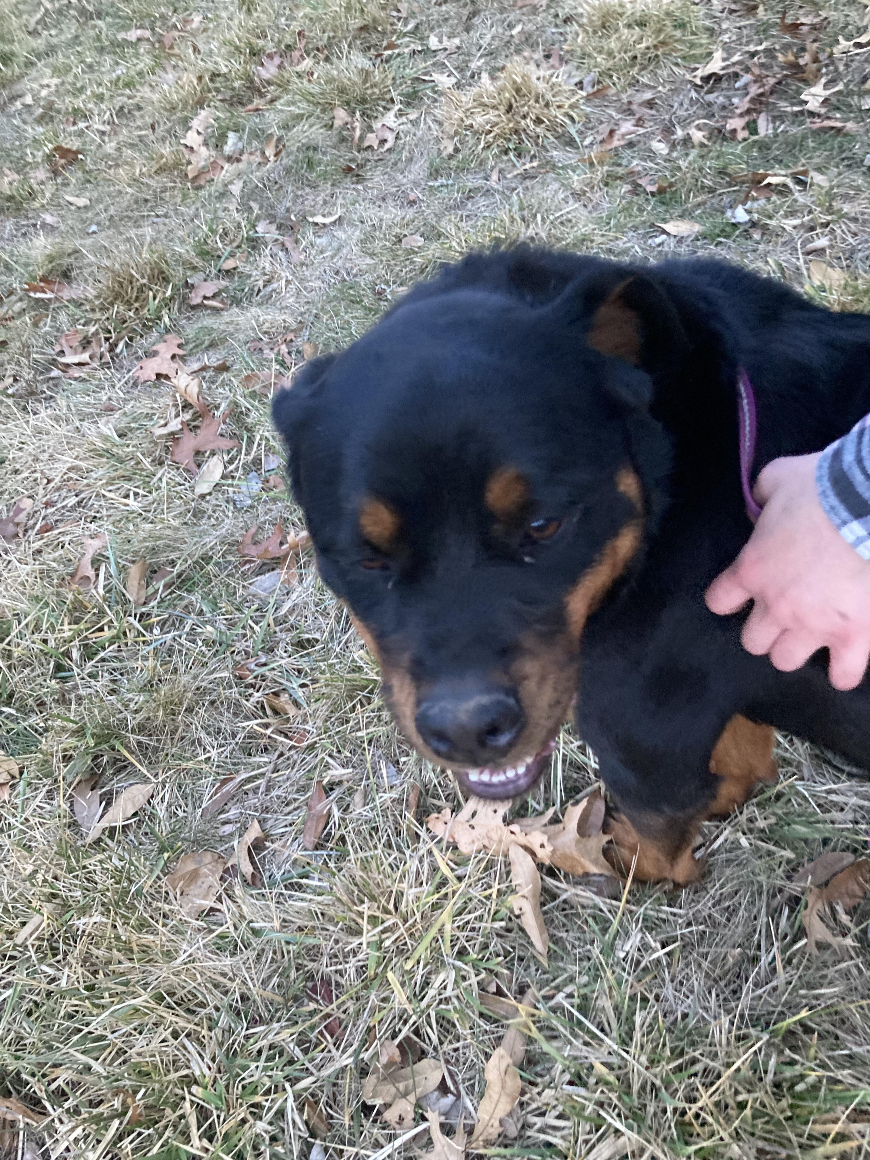 Skye, Young Female unknown