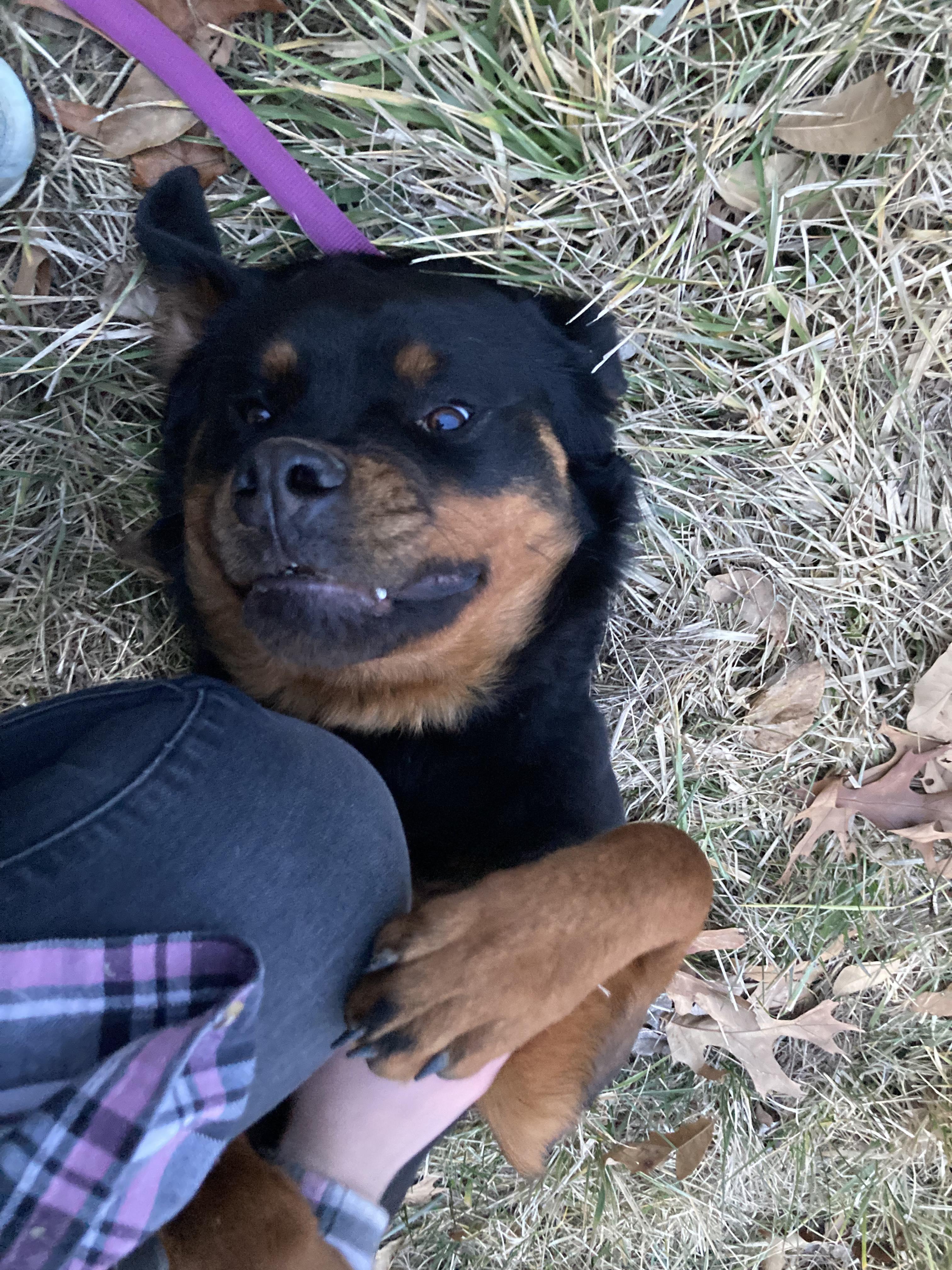 Skye