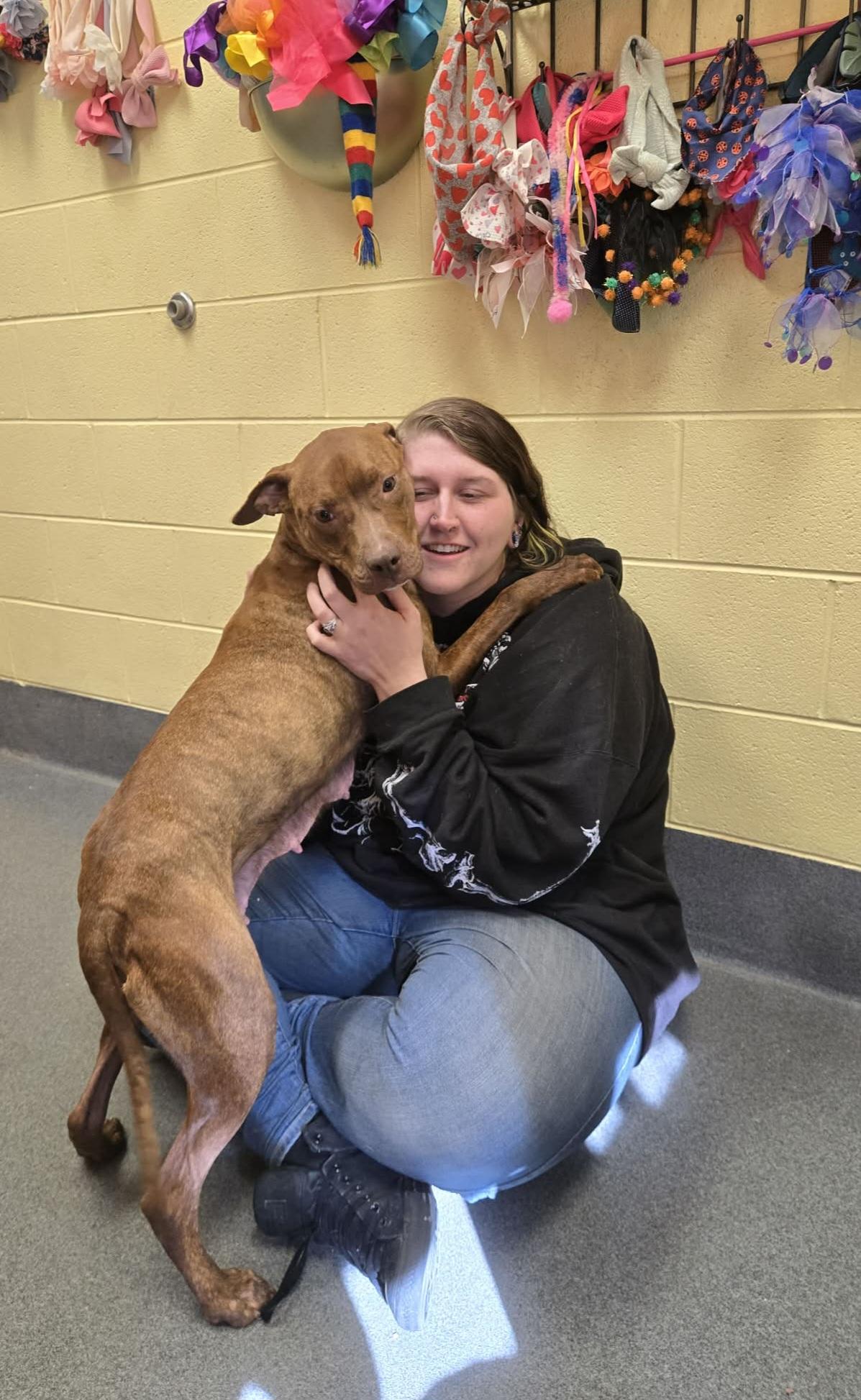 sweet Nyla, ADOPTABLE, Adult Female Pit Bull Terrier.