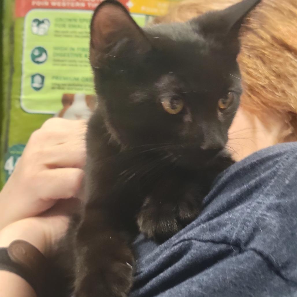 Barney Miller — thumbnail 2