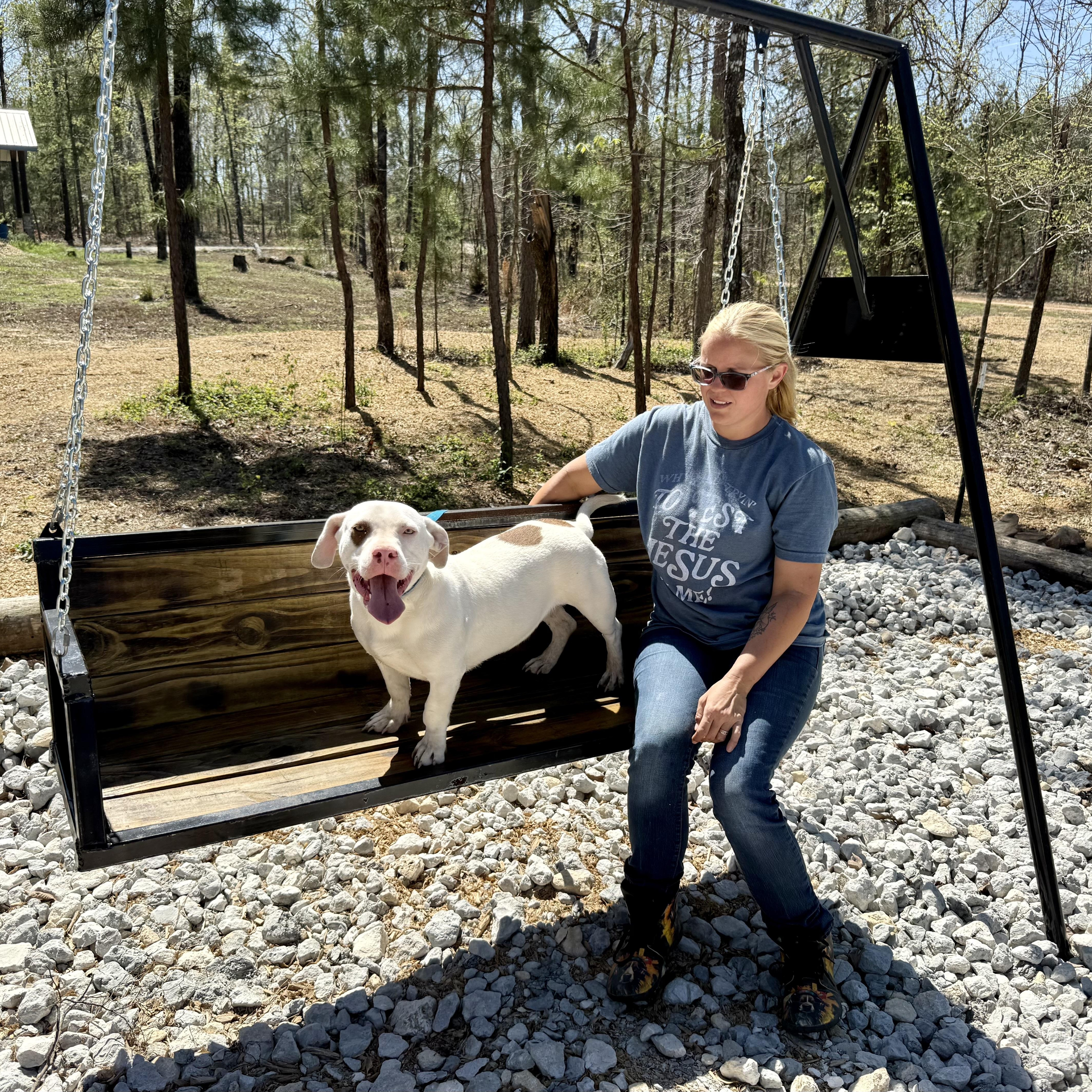 Stimpy , a Adoptable mixed breed in Manchester , CT image 4/4