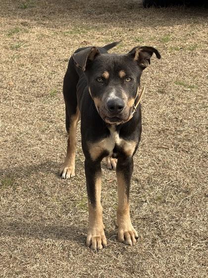 Marshall Aka September thumbnail 2