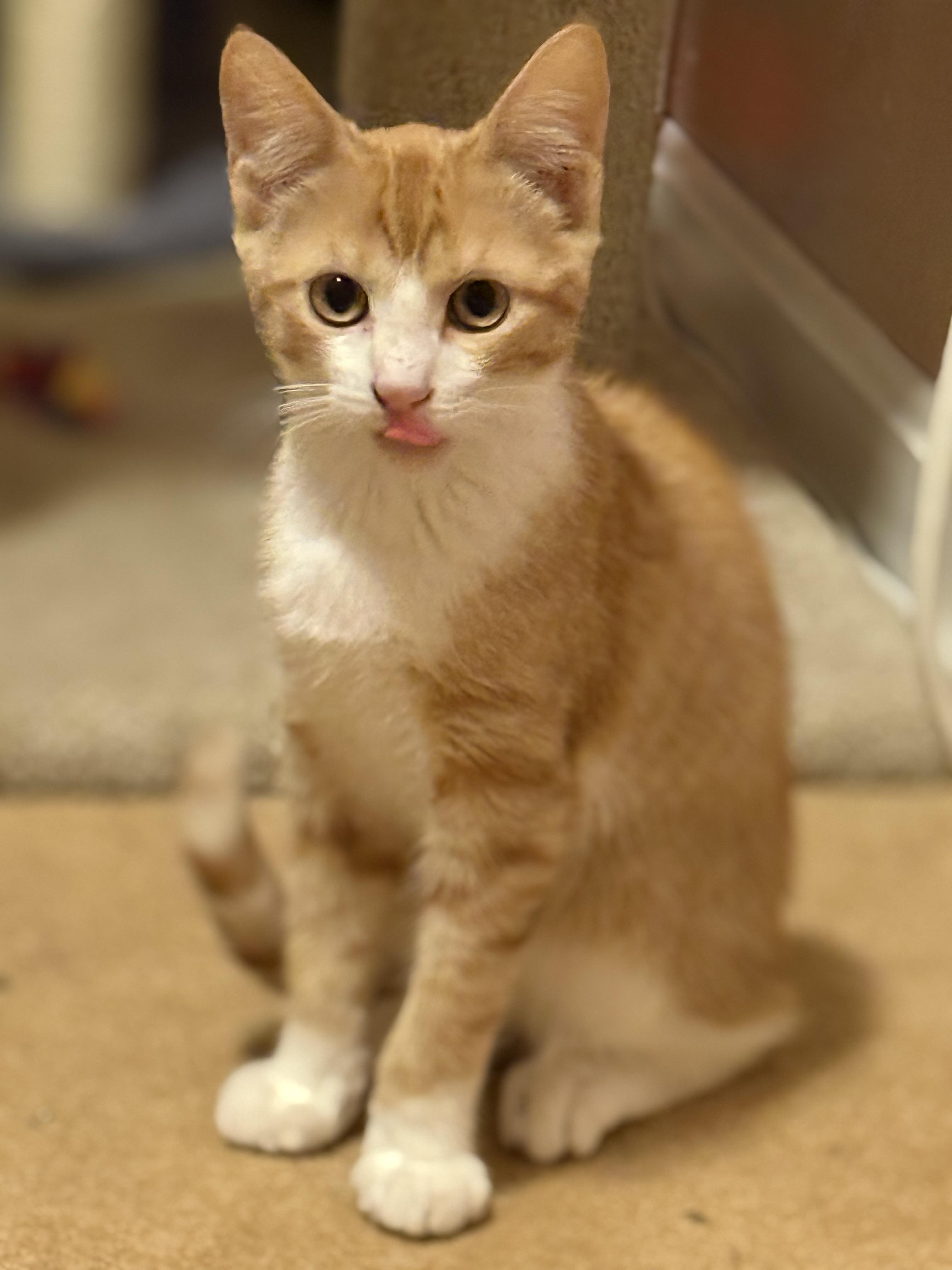 Peaches