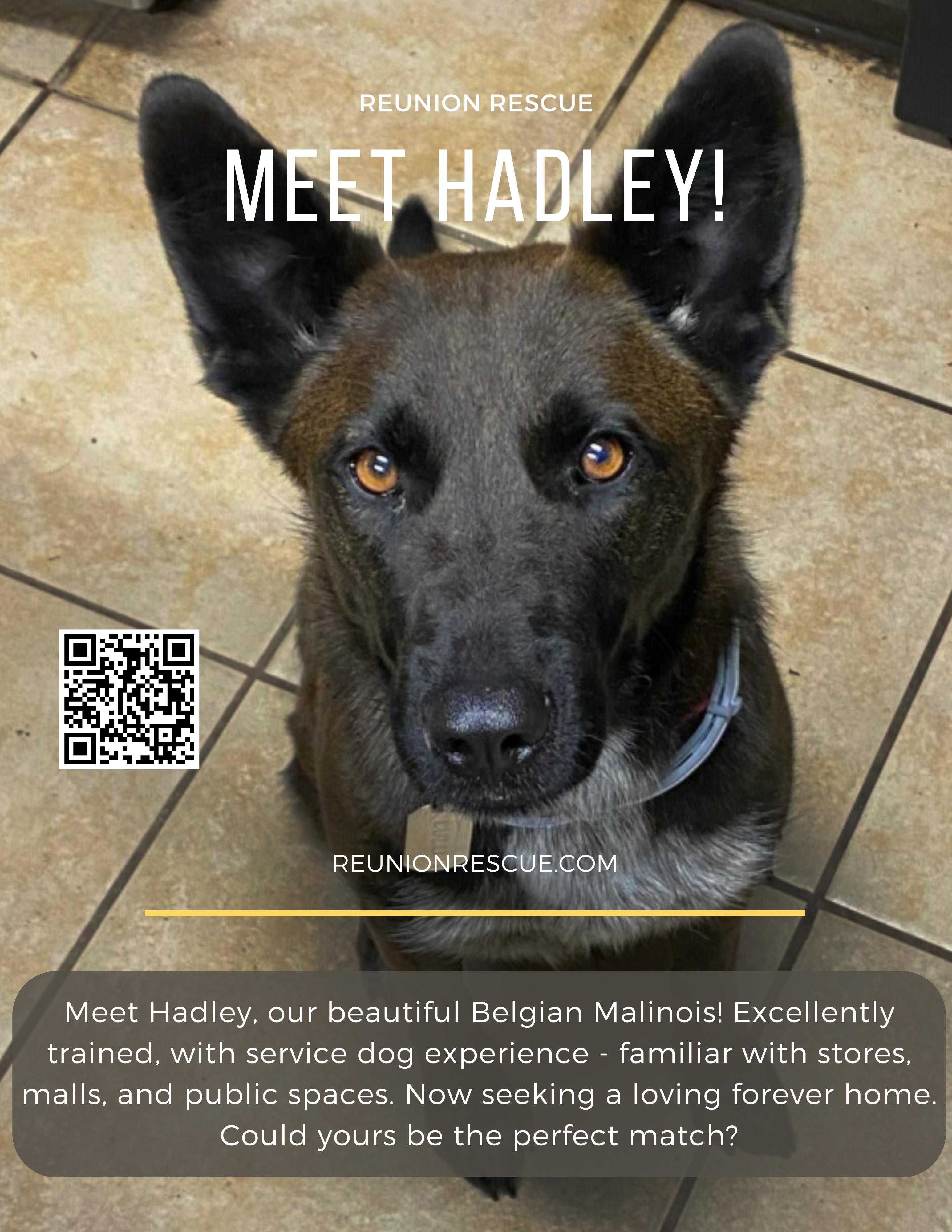 Hadley photo 2