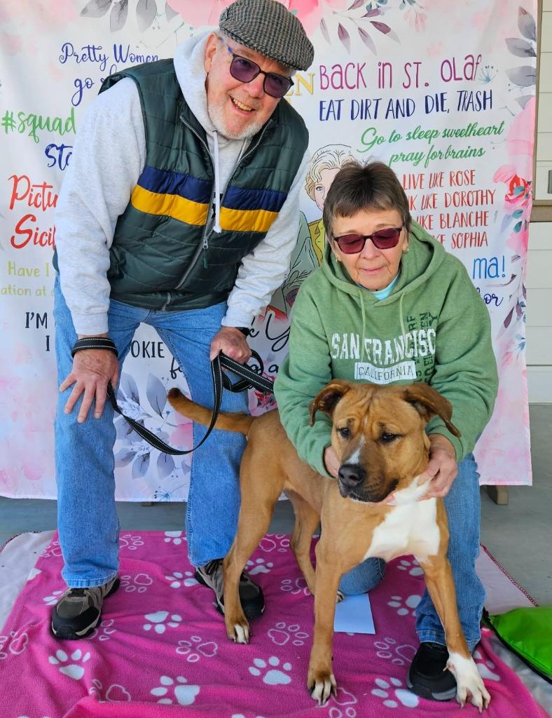 Enlarge Puppy, a Adoptable mixed breed in Hartsville, SC image 3/6