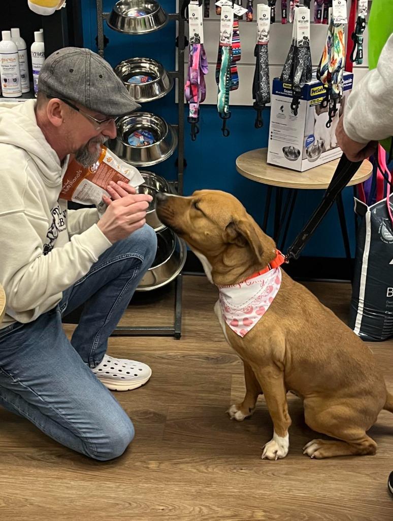 Enlarge Puppy, a Adoptable mixed breed in Hartsville, SC image 6/6