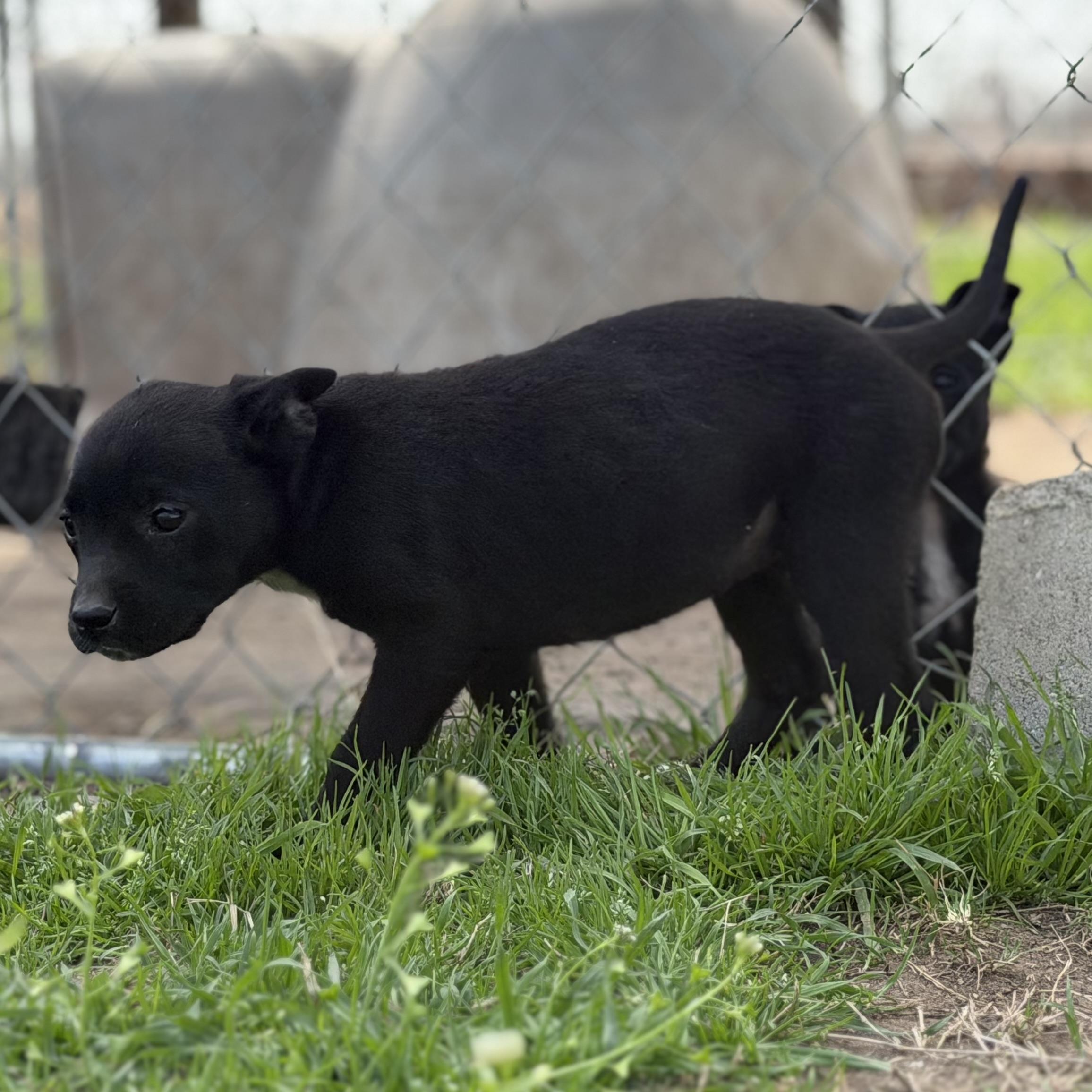 Aquarius — thumbnail 2