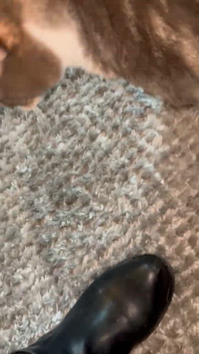 Enlarge Beckham-- URGENT, an adopted mixed breed in New Orleans, LA video 6/6