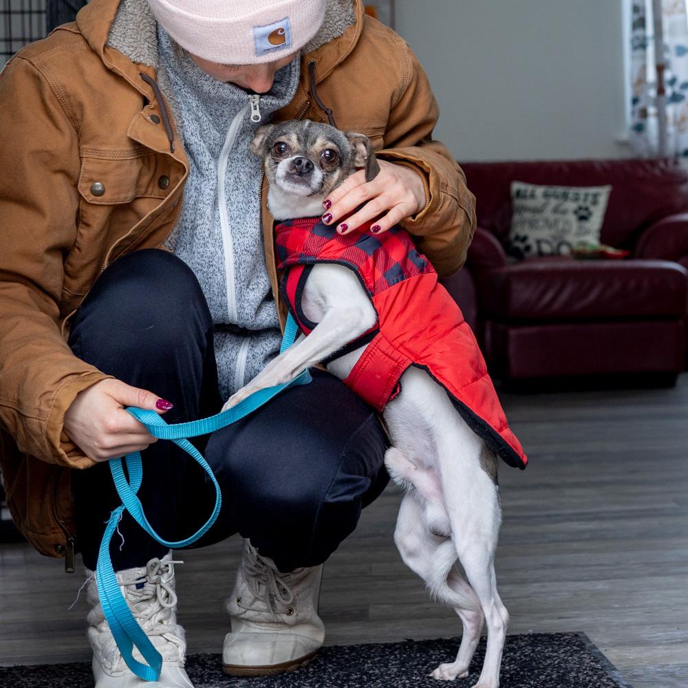 Diabloavail thumbnail 2