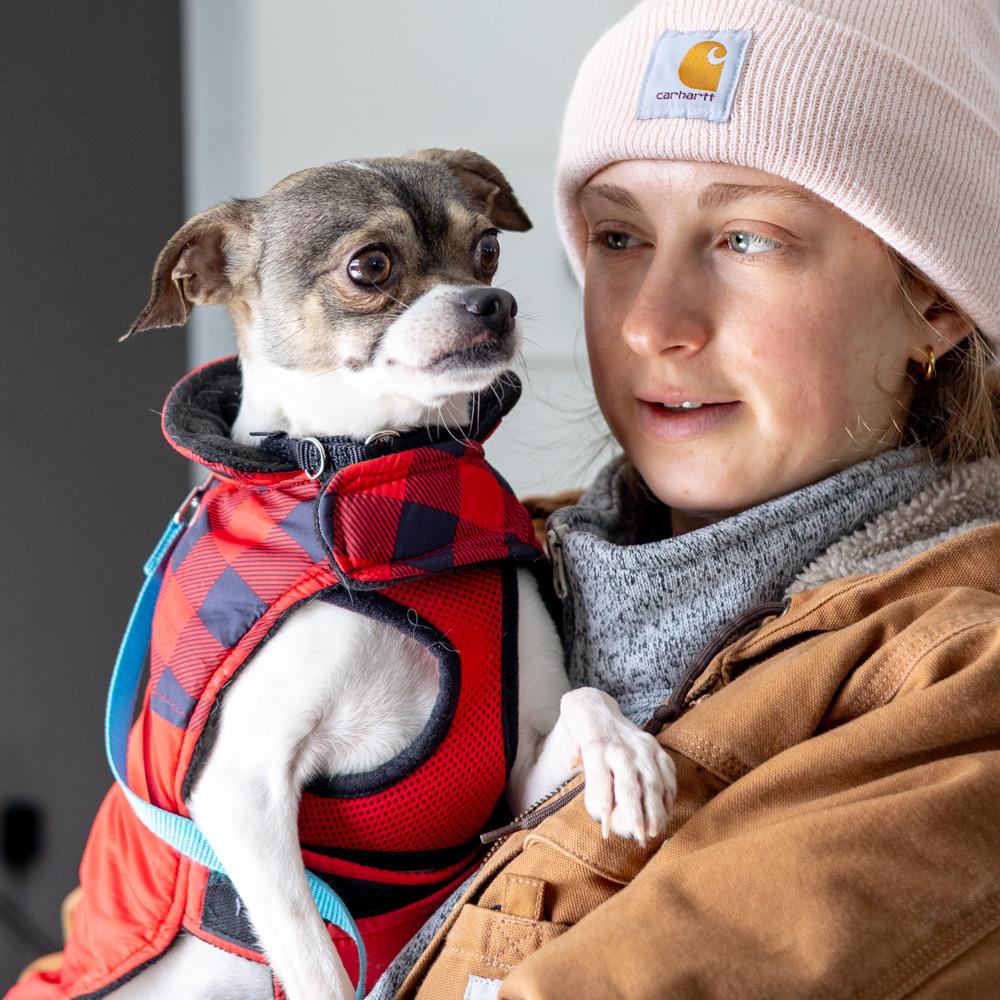 Diabloavail thumbnail 3