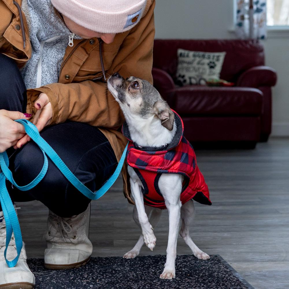 Diabloavail thumbnail 6