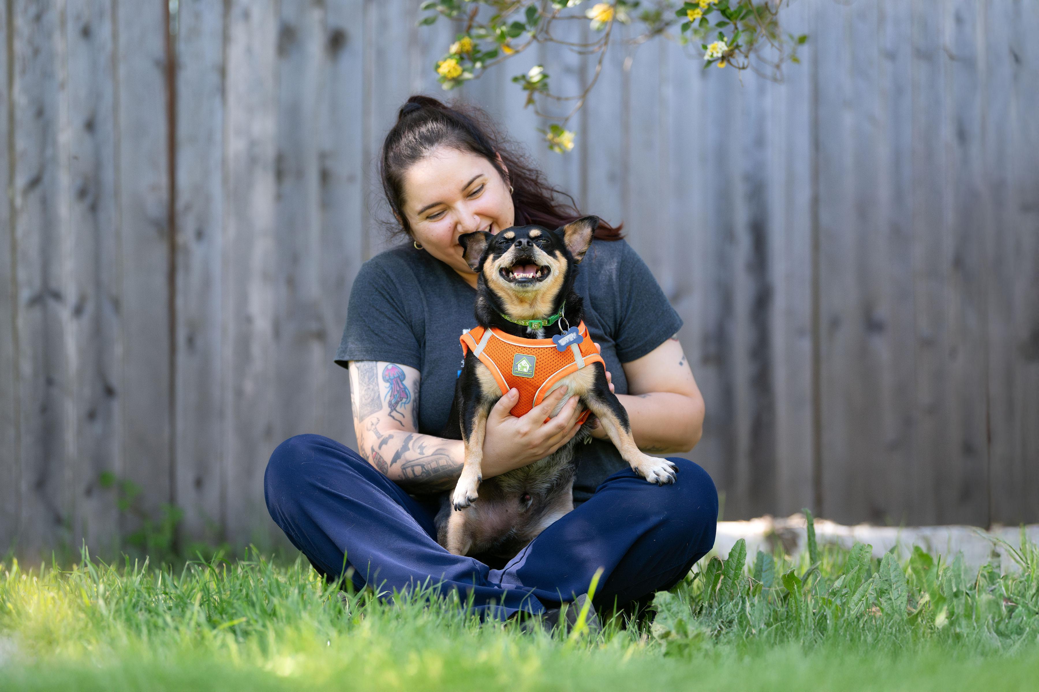 Porkchop, a ADOPTABLE mixed breed in Santa Rosa, CA image 5/6