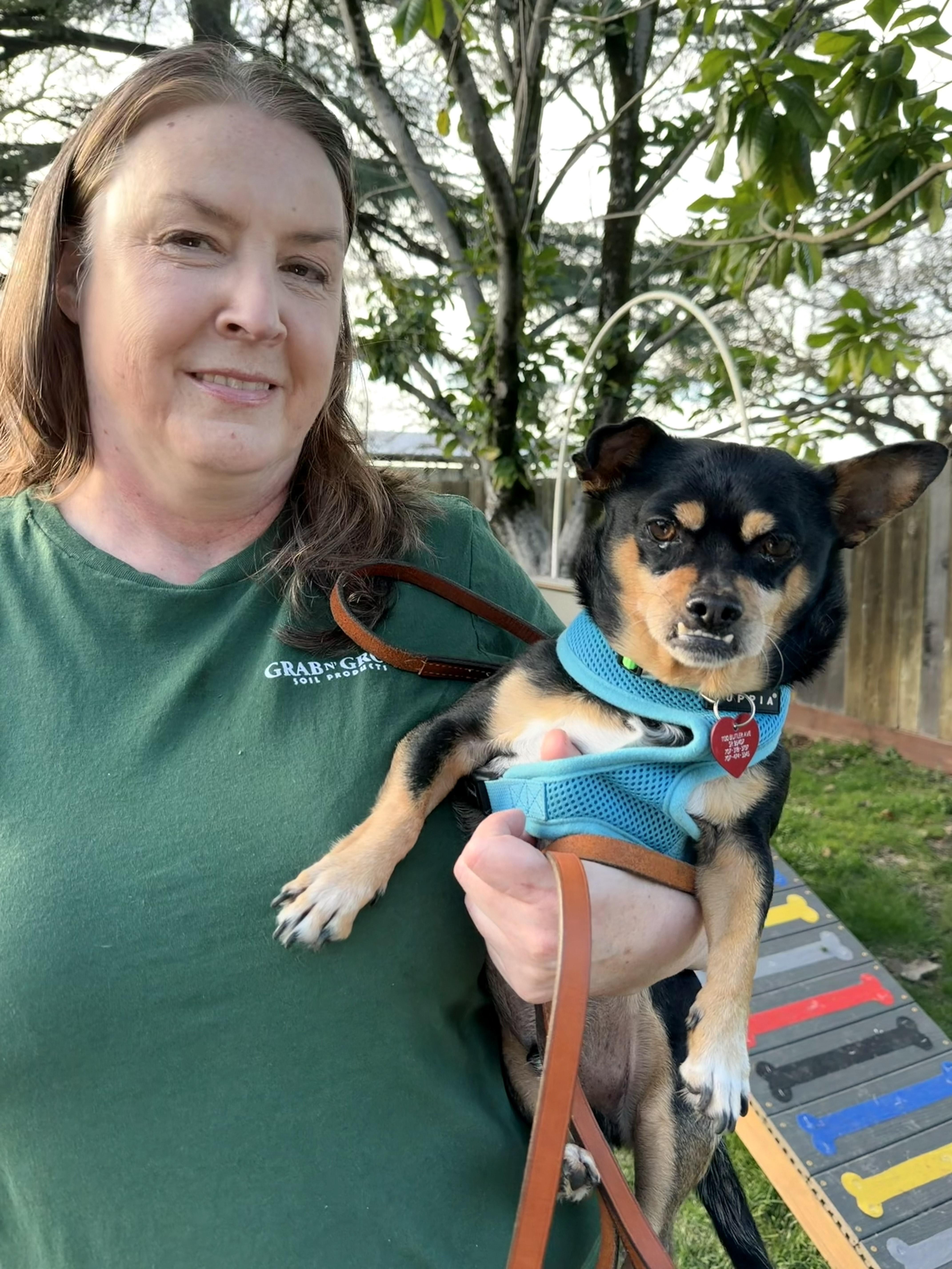 Enlarge Porkchop, a ADOPTABLE mixed breed in Santa Rosa, CA image 2/2