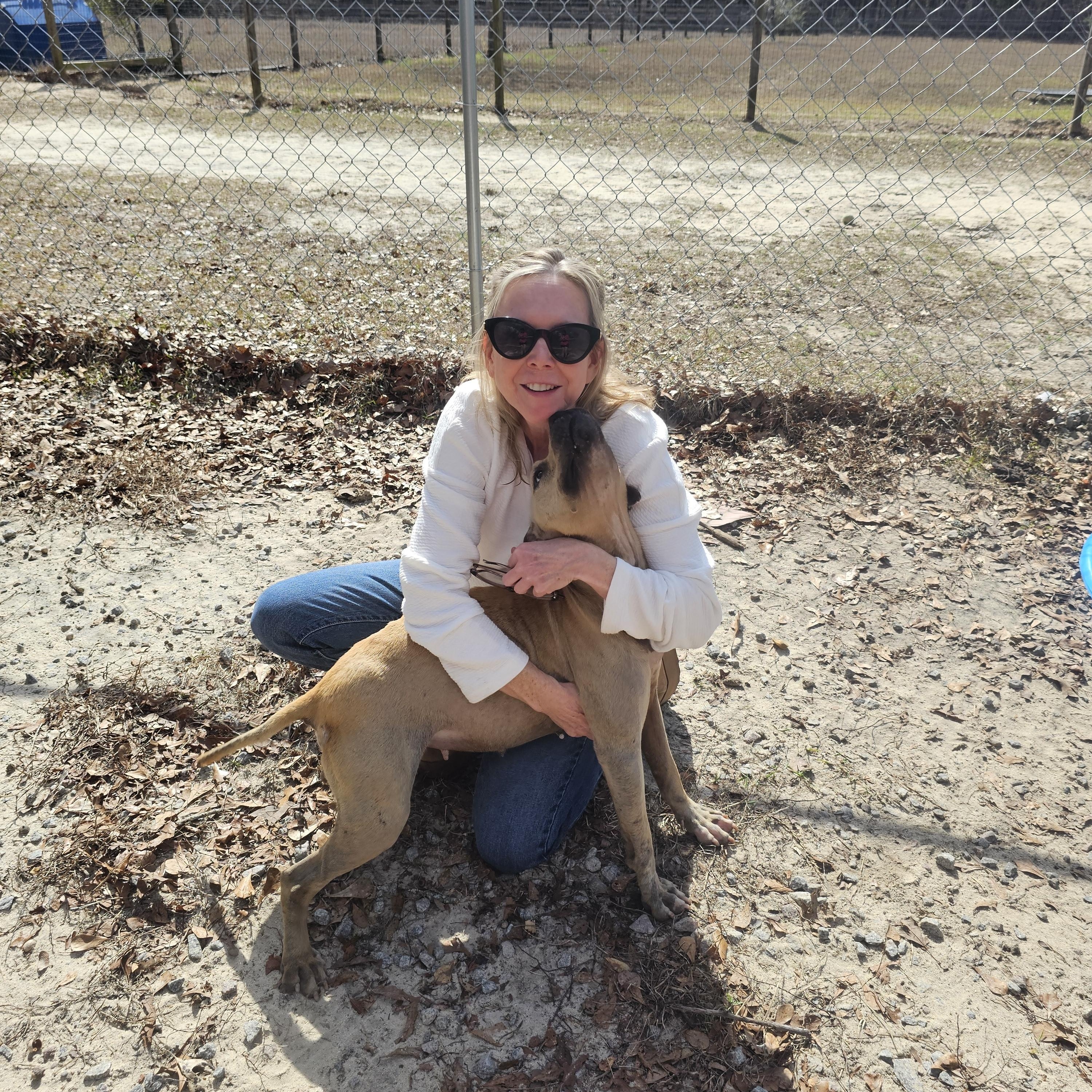 Enlarge Chloe, a ADOPTABLE mixed breed in Orangeburg, SC image 5/5