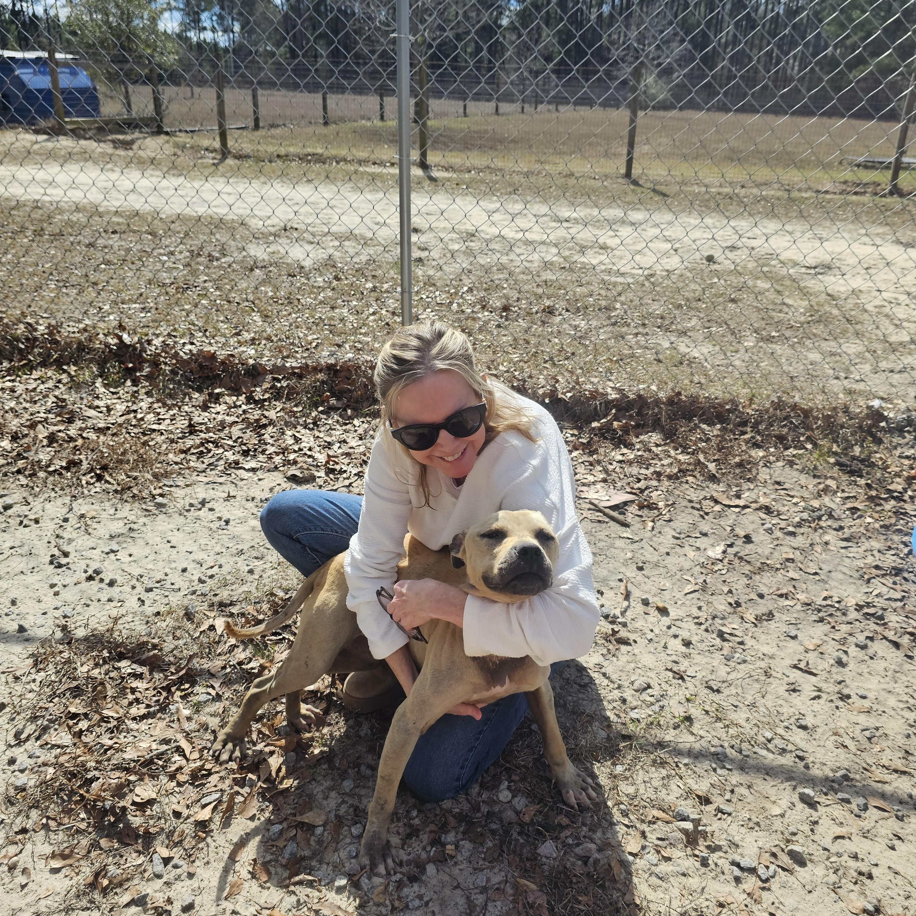 Enlarge Chloe, a ADOPTABLE mixed breed in Orangeburg, SC image 4/5