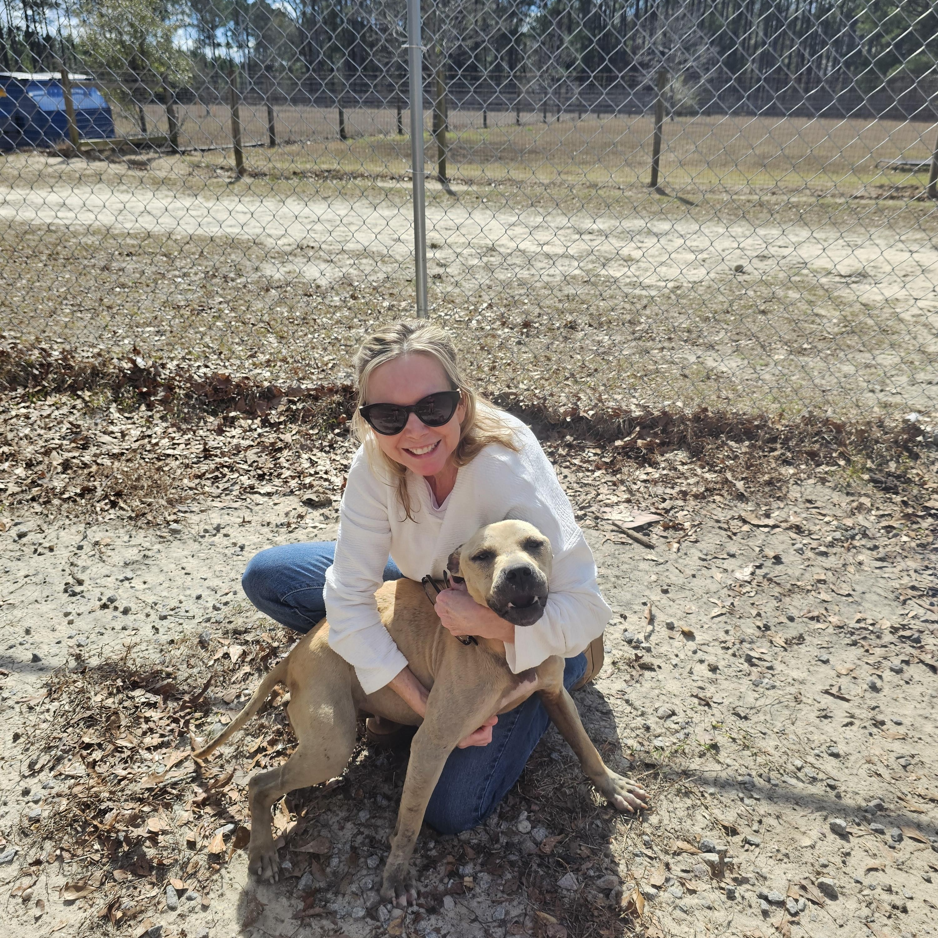 Enlarge Chloe, a ADOPTABLE mixed breed in Orangeburg, SC image 3/5