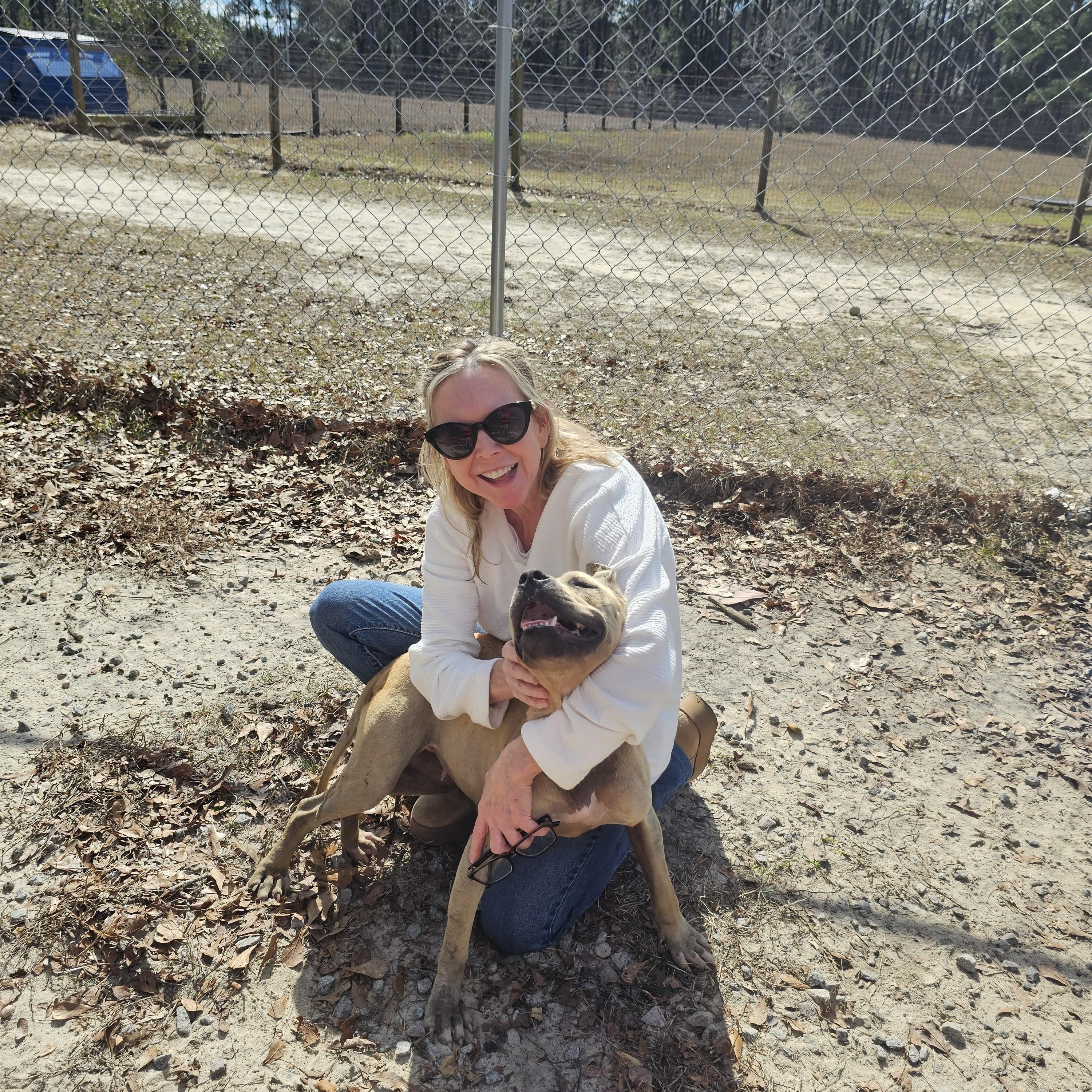 Enlarge Chloe, a ADOPTABLE mixed breed in Orangeburg, SC image 2/5