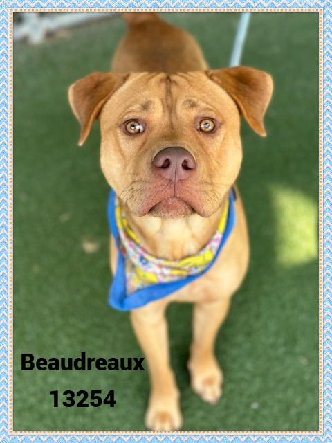 BOUDREAUX