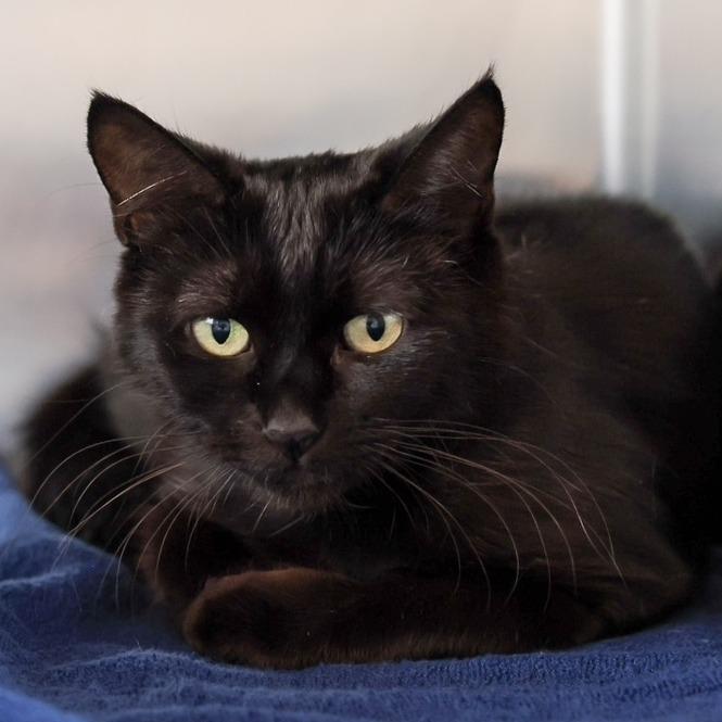 Ocean — thumbnail 2