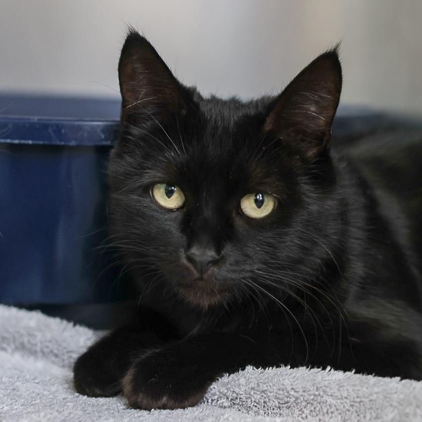 Ocean — thumbnail 3