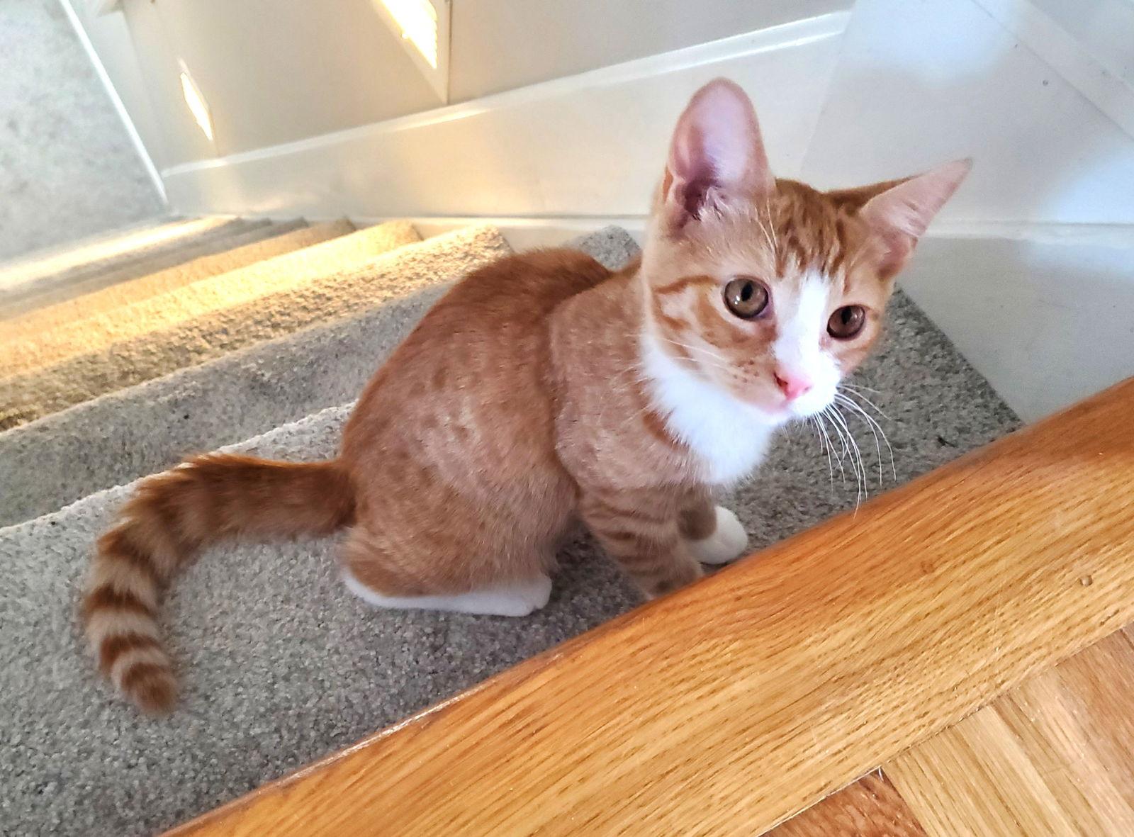 Gregory Peck thumbnail 2