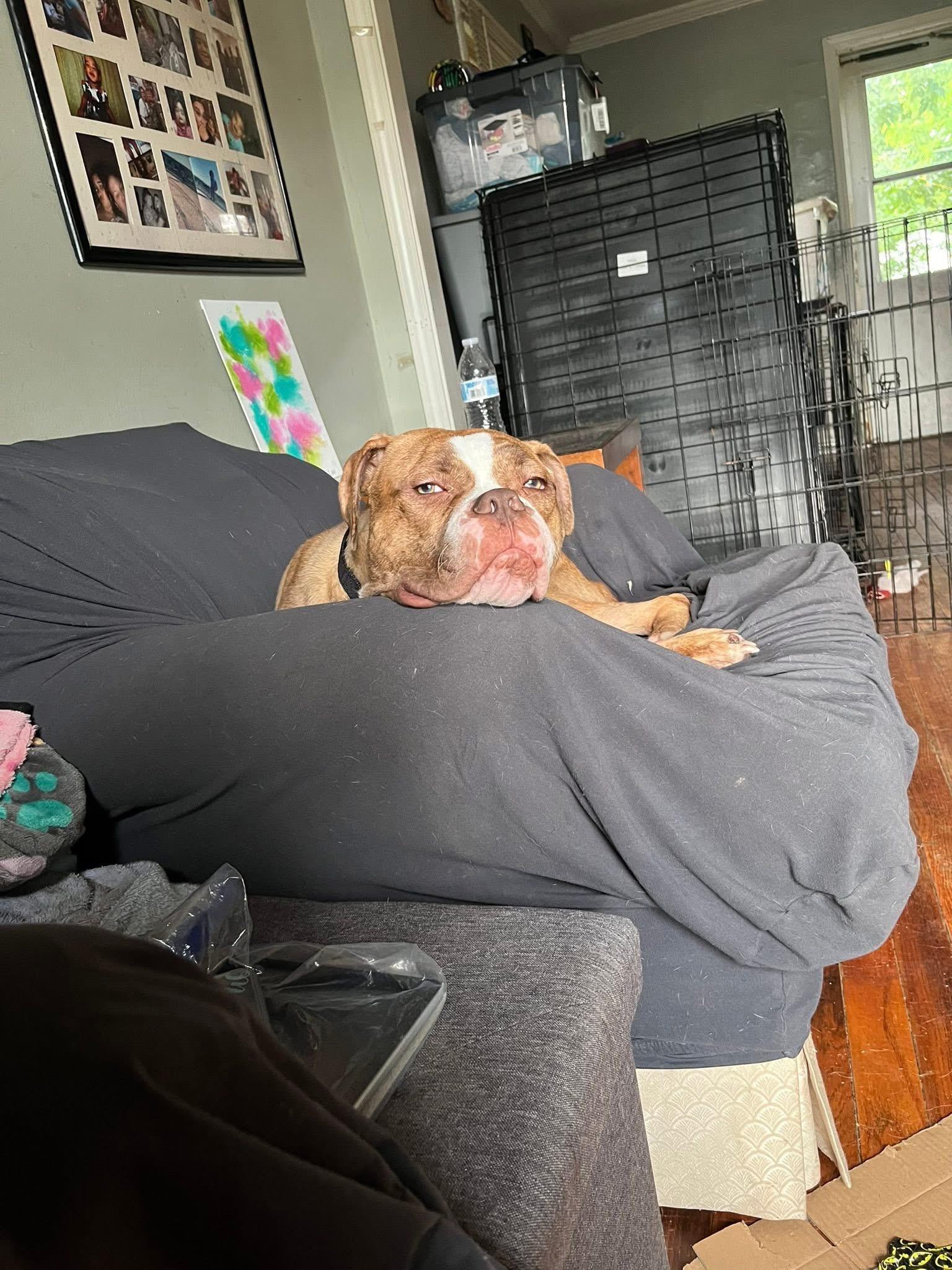 Tater