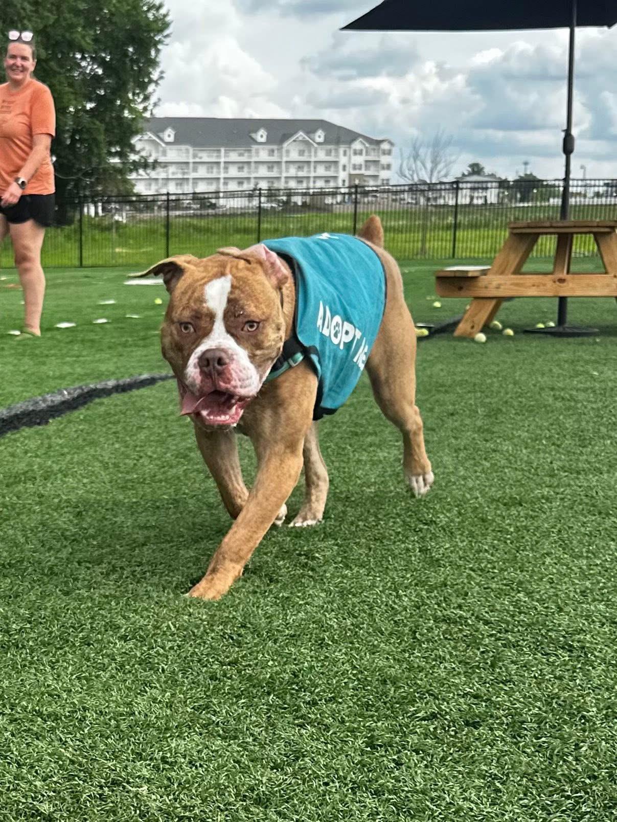 Tater