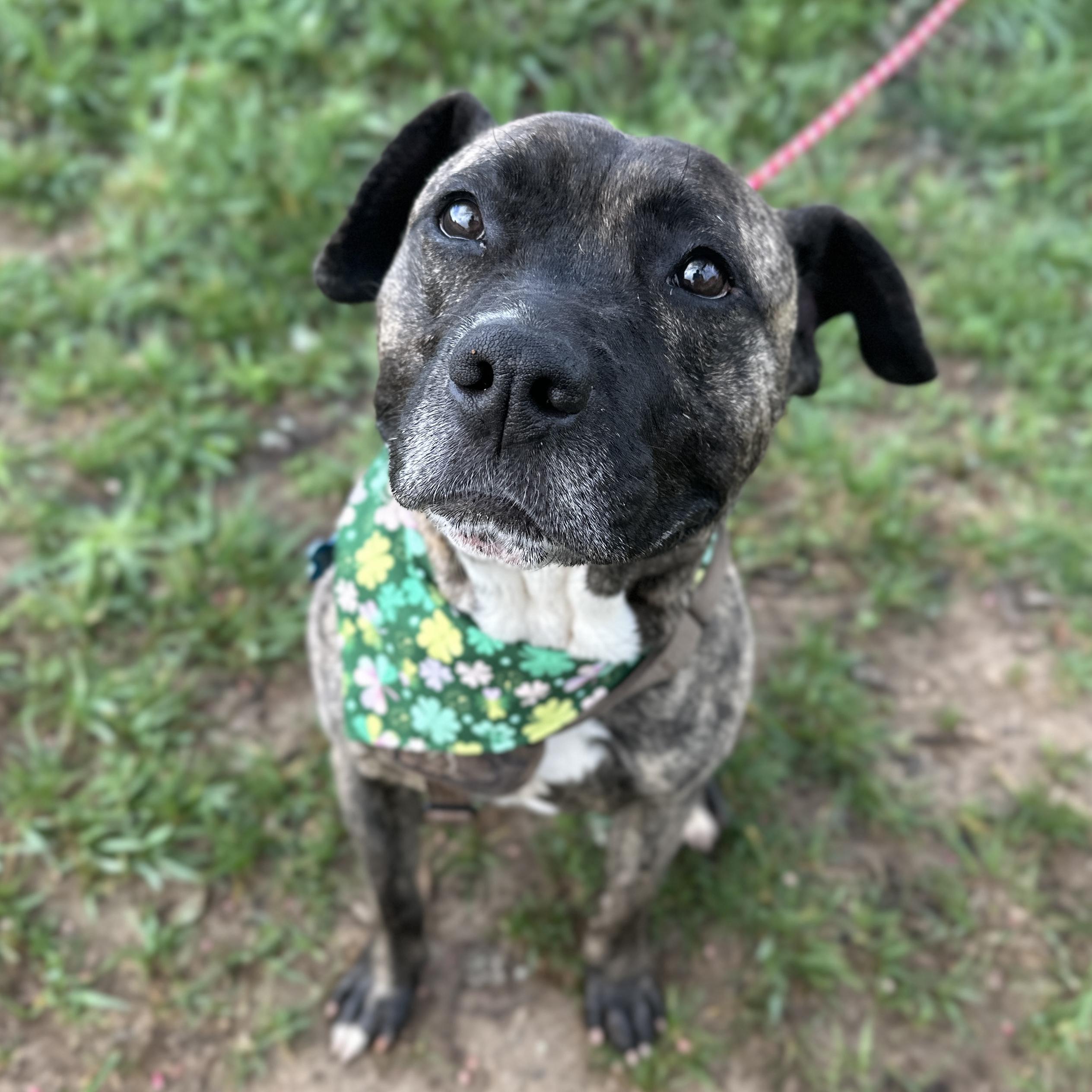 Lamar — thumbnail 3