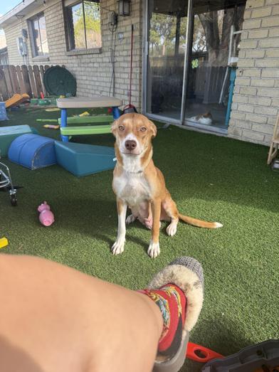 Lola — thumbnail 3