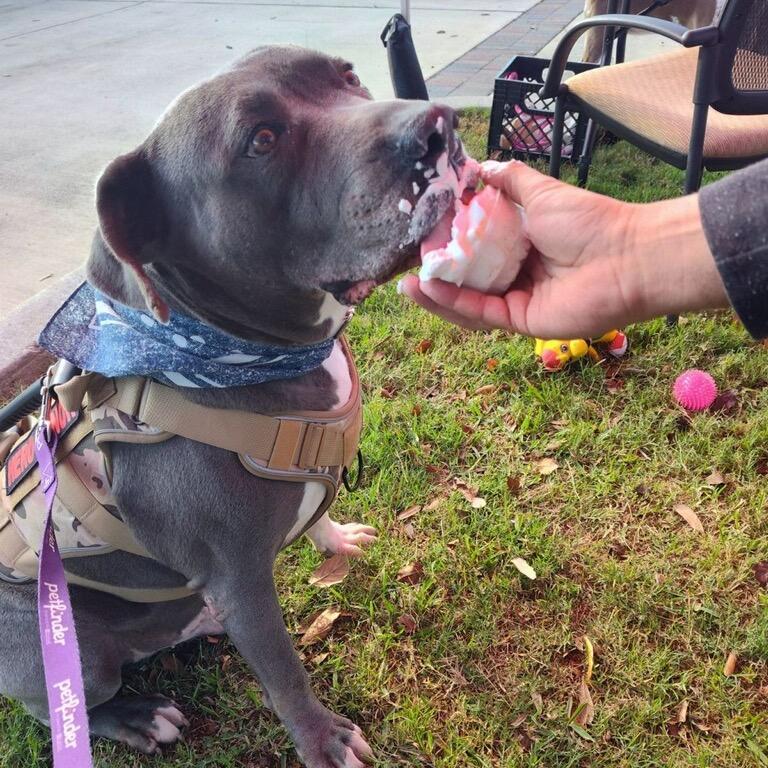 Volkswagen — thumbnail 6