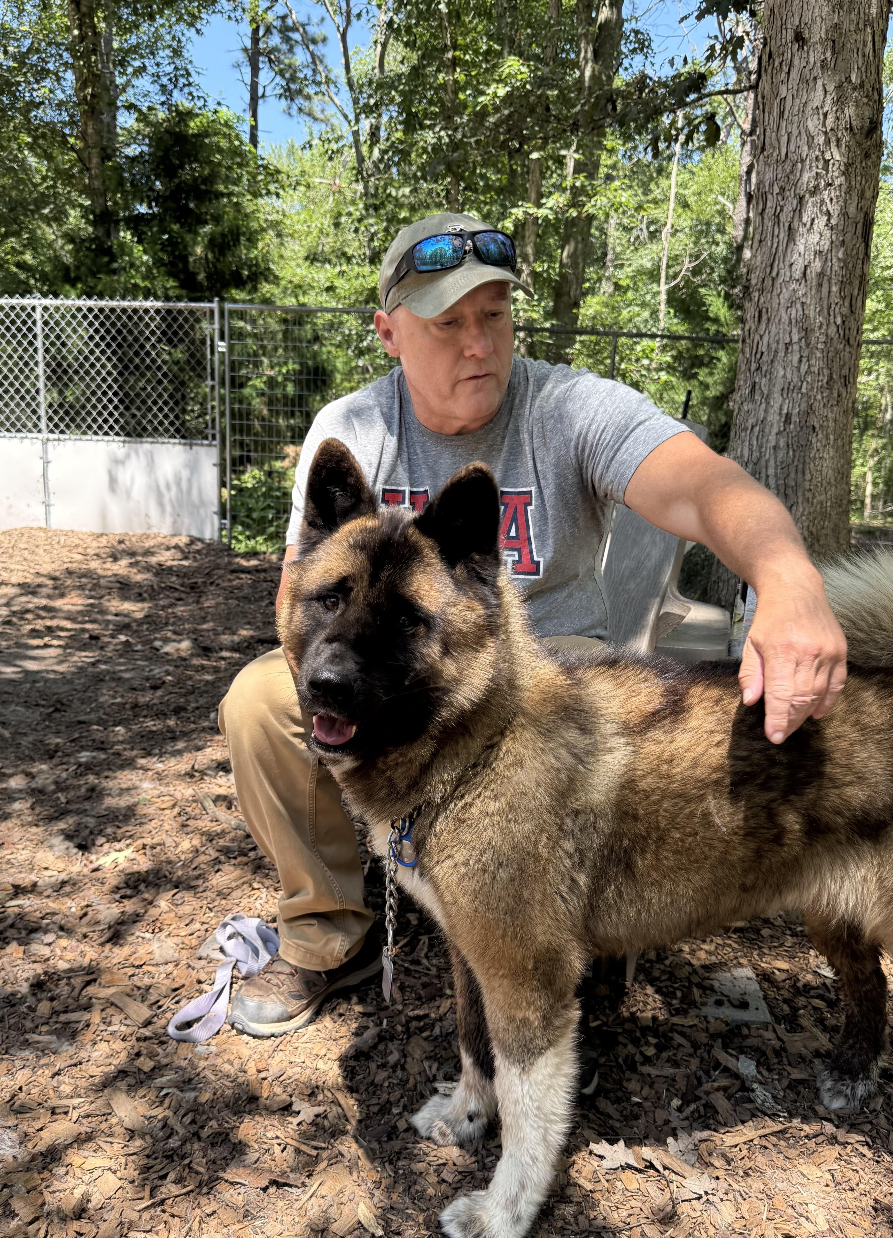 Boo Baby, a Adoptable Akita in Toms River, NJ image 2/5