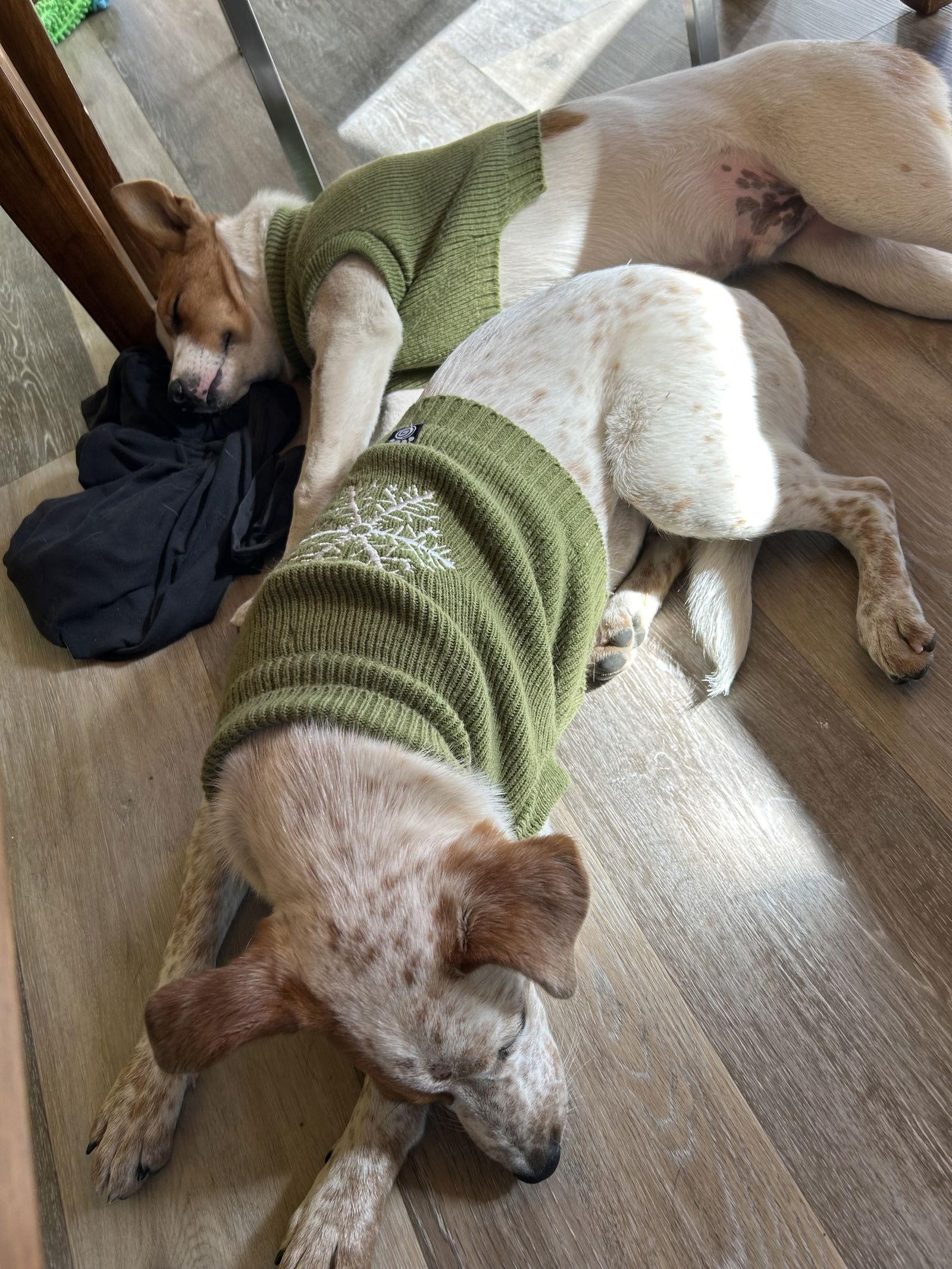 Lila — thumbnail 2