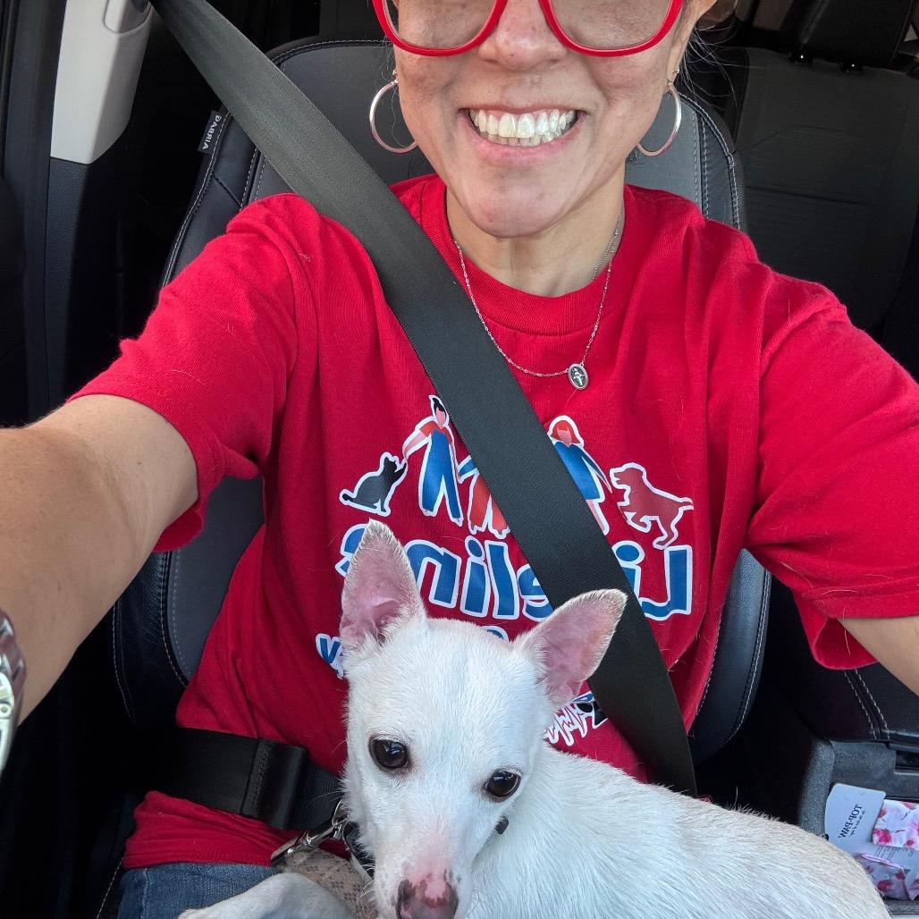 Enlarge Scout, a Adoptable Mixed Breed in Webster, TX image 4/5