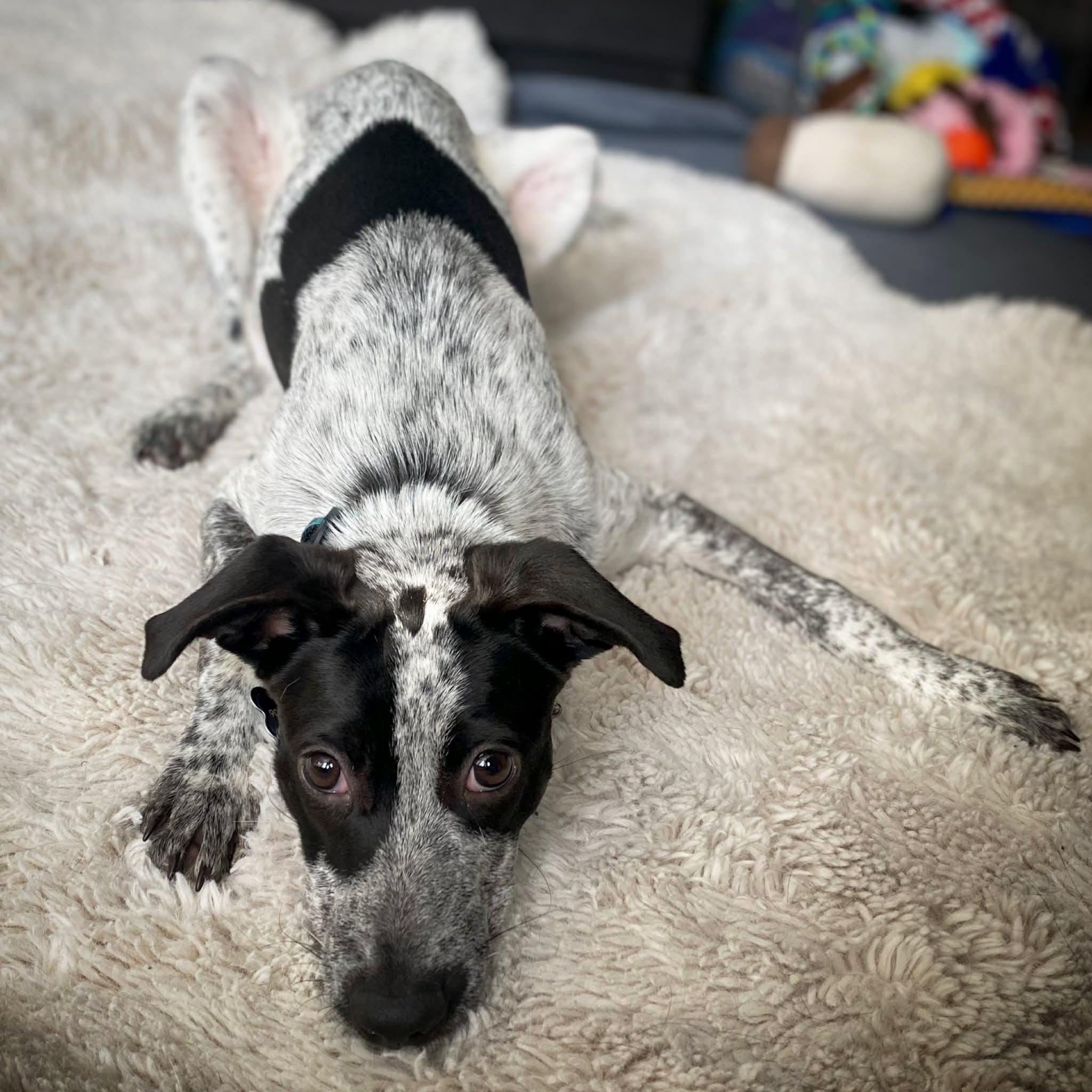 Little Hope (20260131-01) — thumbnail 2