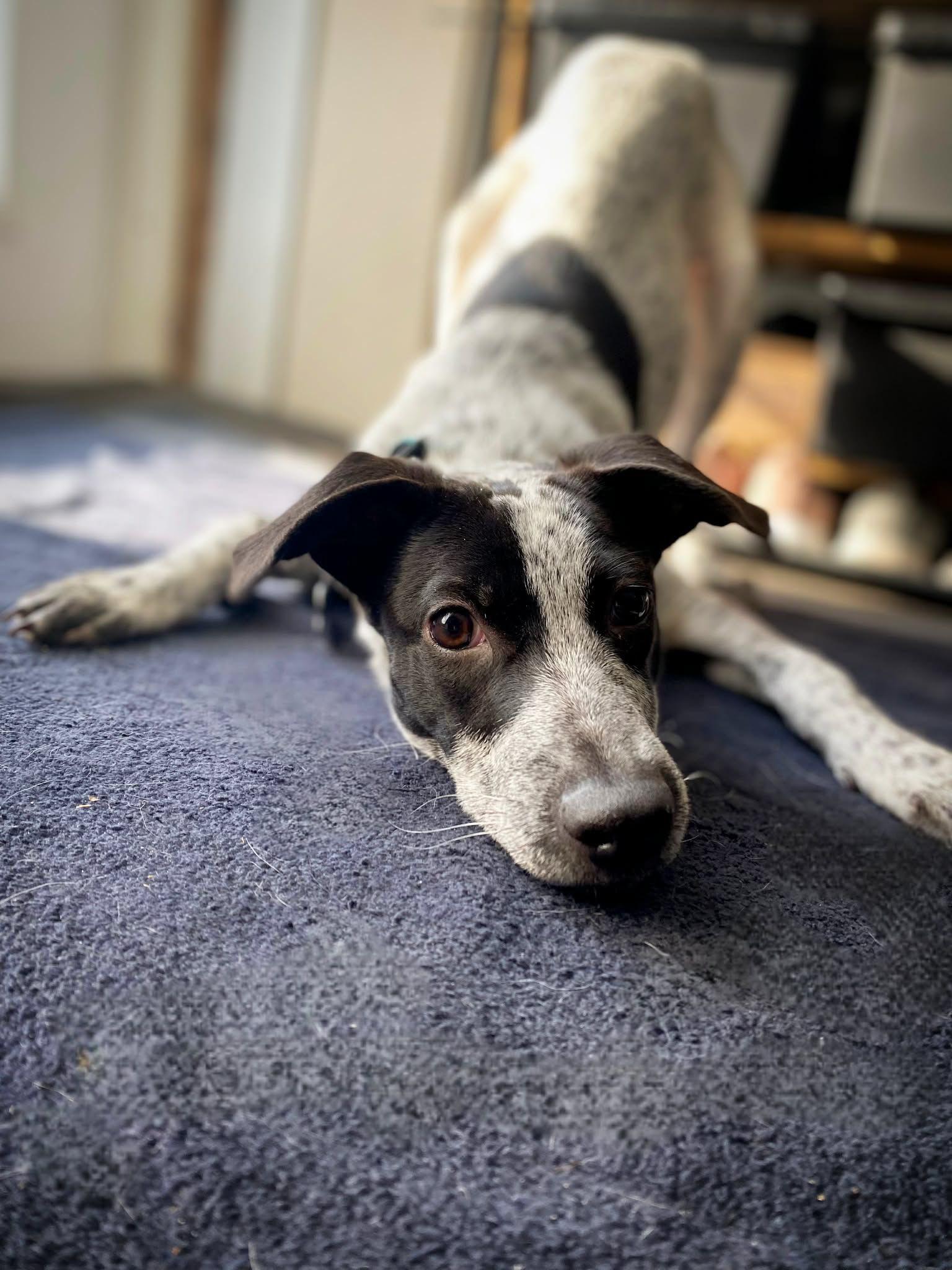 Little Hope (20260131-01) — thumbnail 5