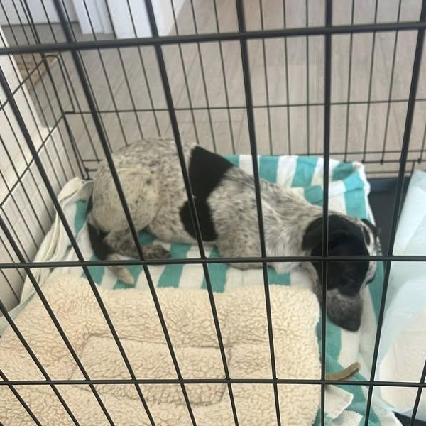 Little Hope (20260131-01) — thumbnail 6