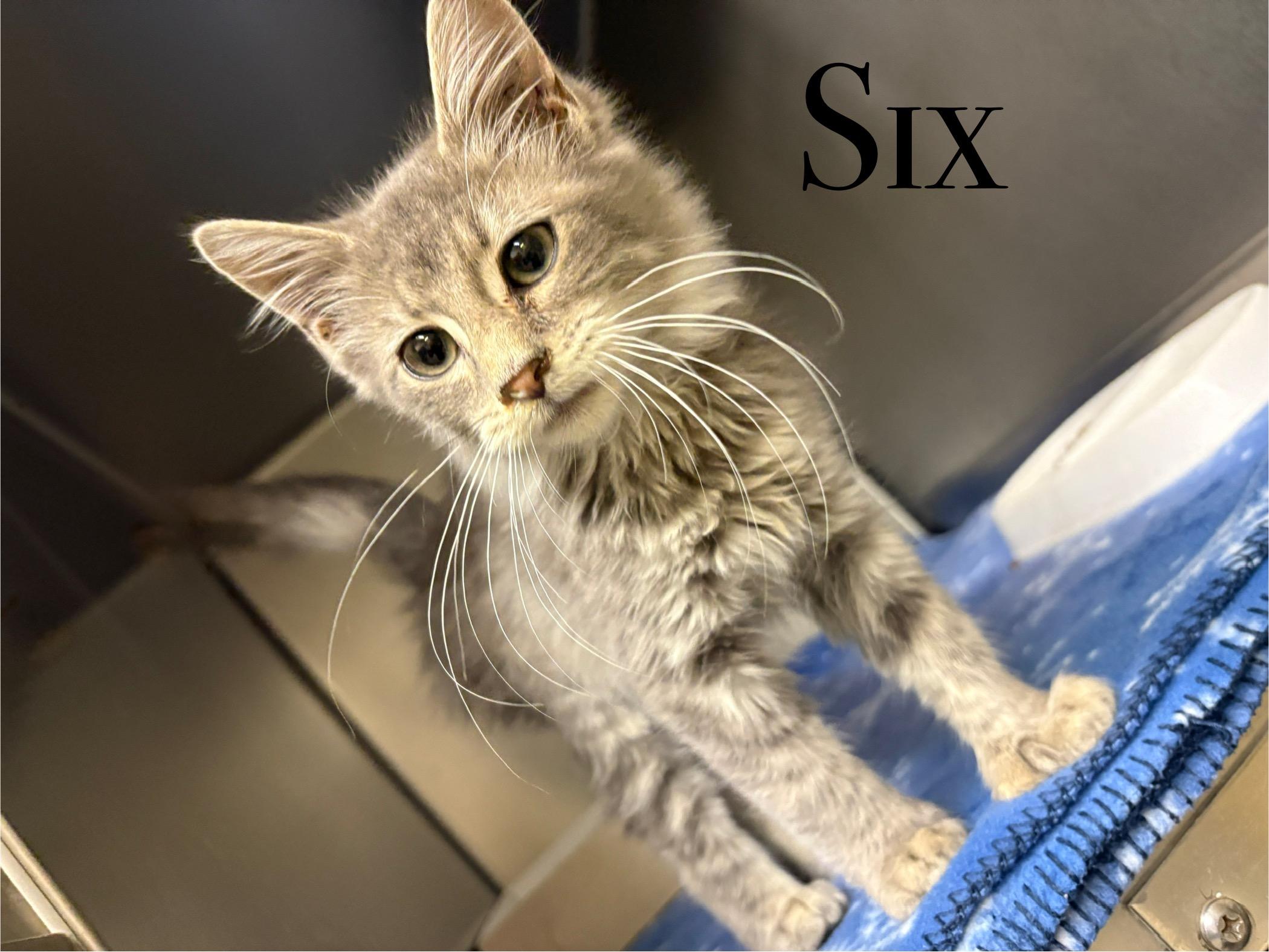 Six