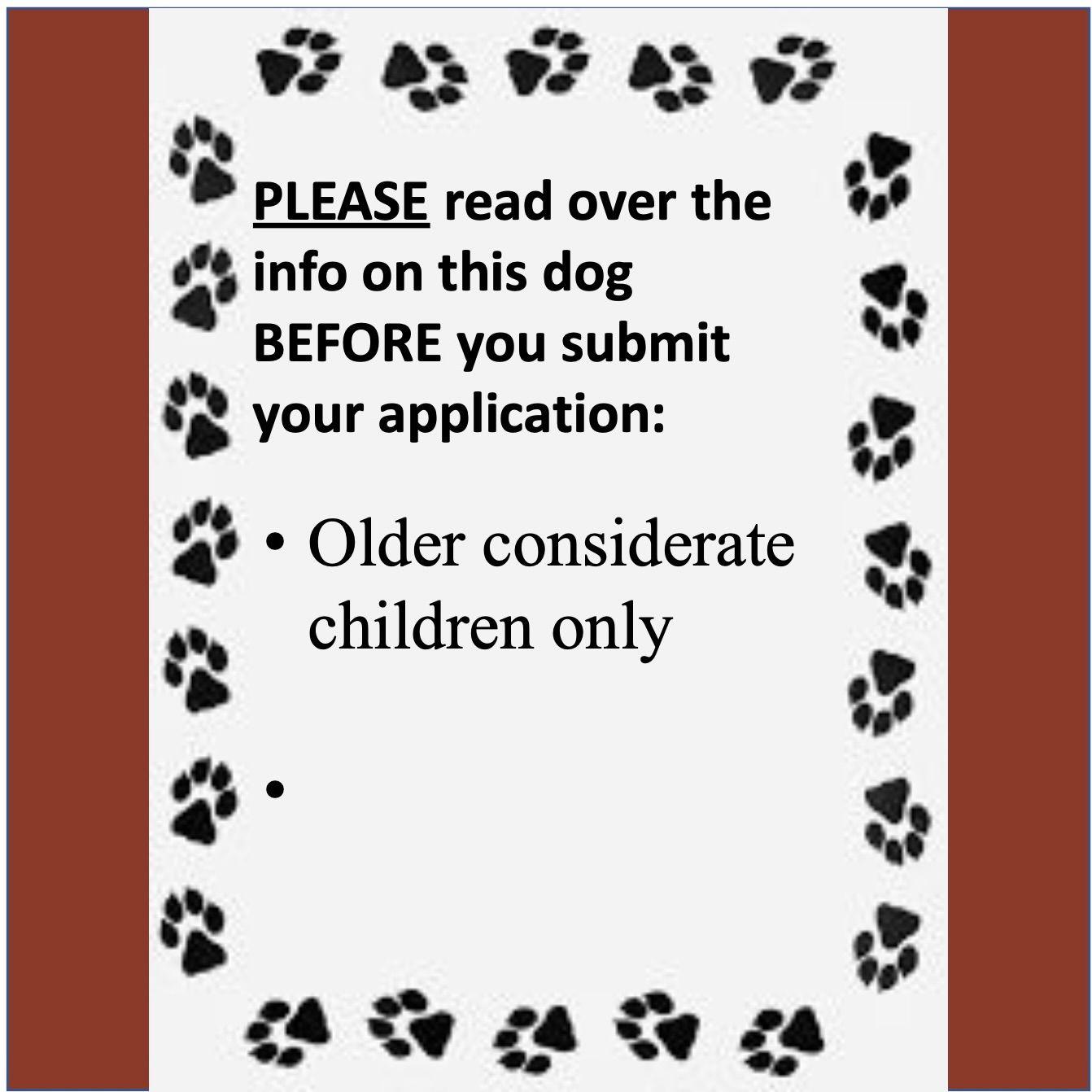 Enlarge Benson, a Adoptable mixed breed in Fargo, ND image 2/3